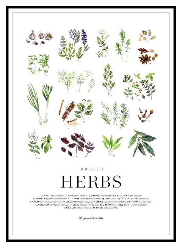 Herbs Poster (21x30 cm) - Poster Store