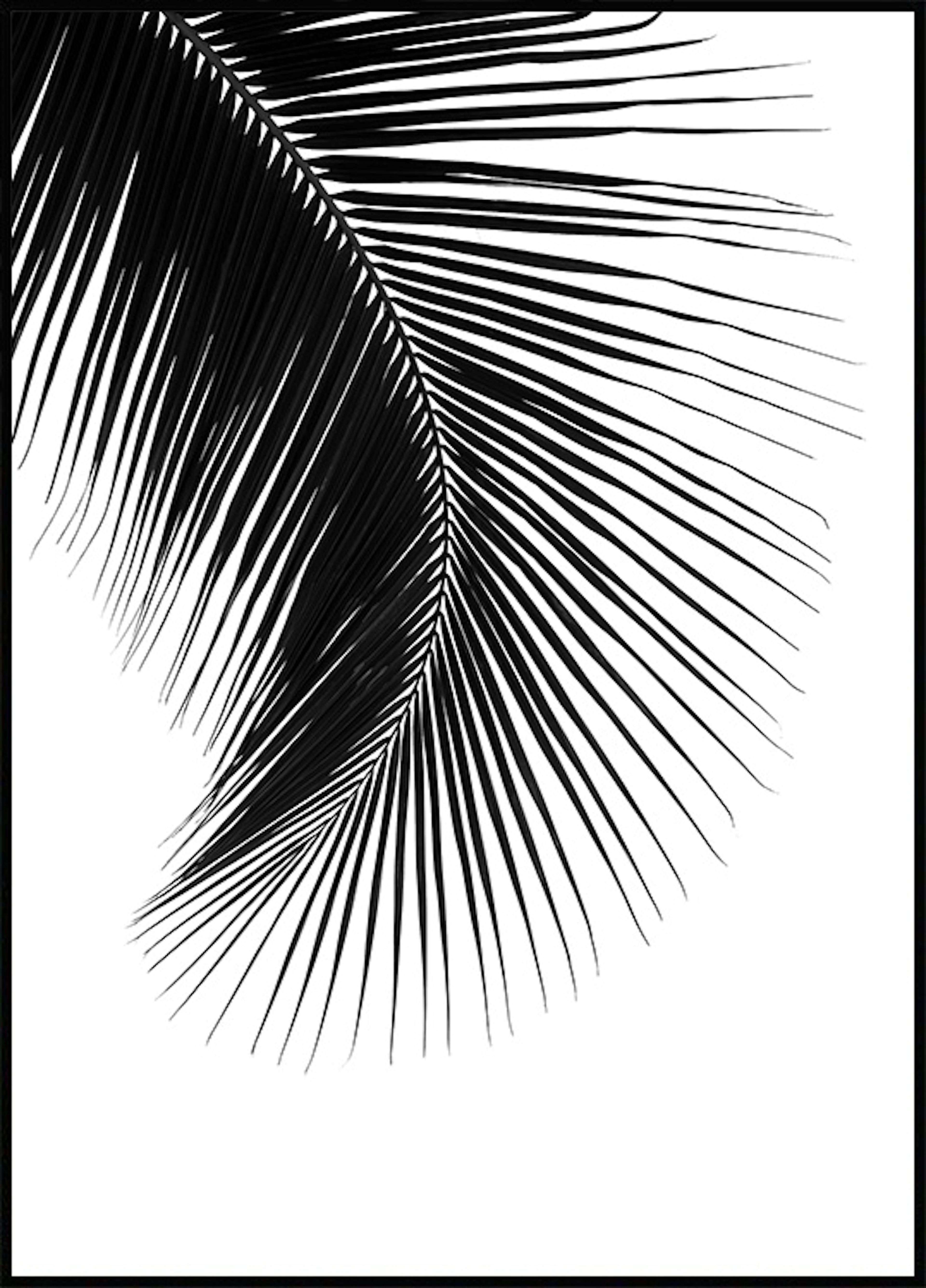 Palm Leaf II Plakat 0