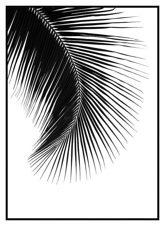 Plakat liść palmowy II (21x30 cm) - Poster Store