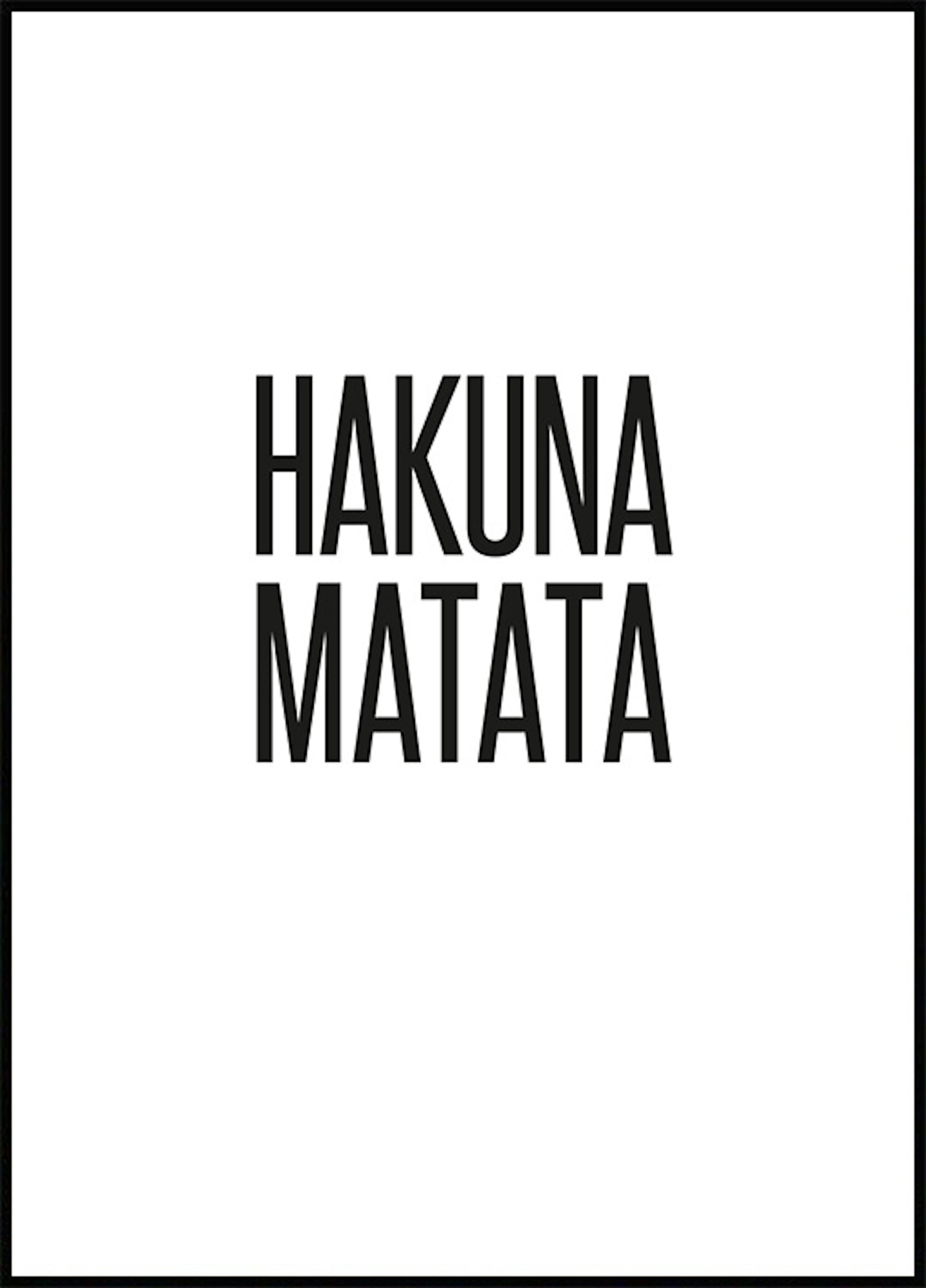 하쿠나마타타 포스터 0