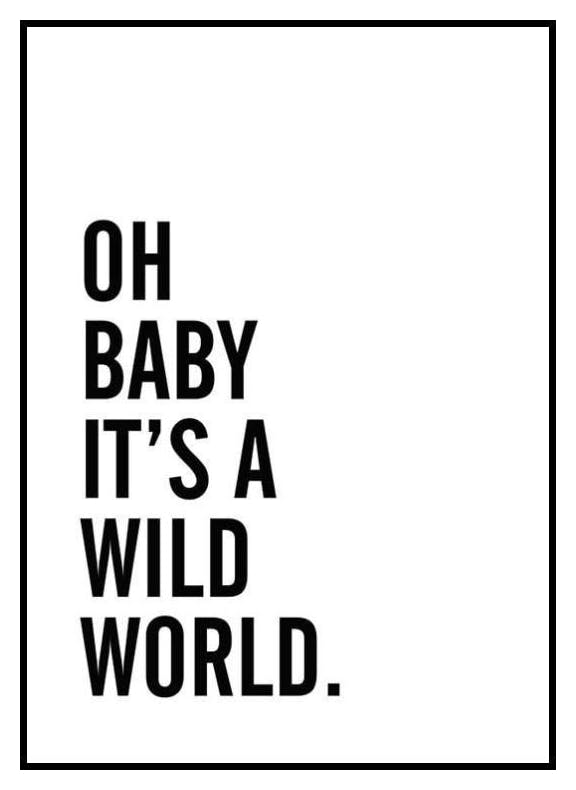 Wild World, Poster (30x40 cm) - Poster Store