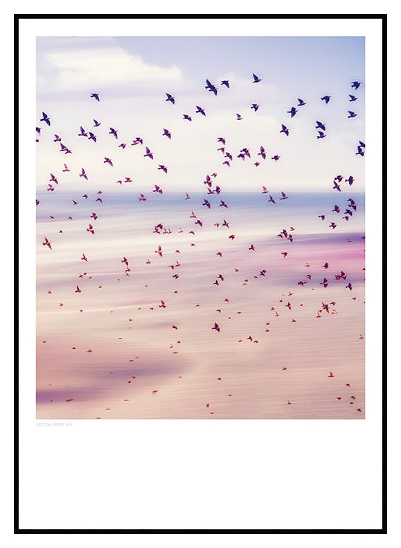 Plakat Spring Migration (50x70 cm) - Poster Store