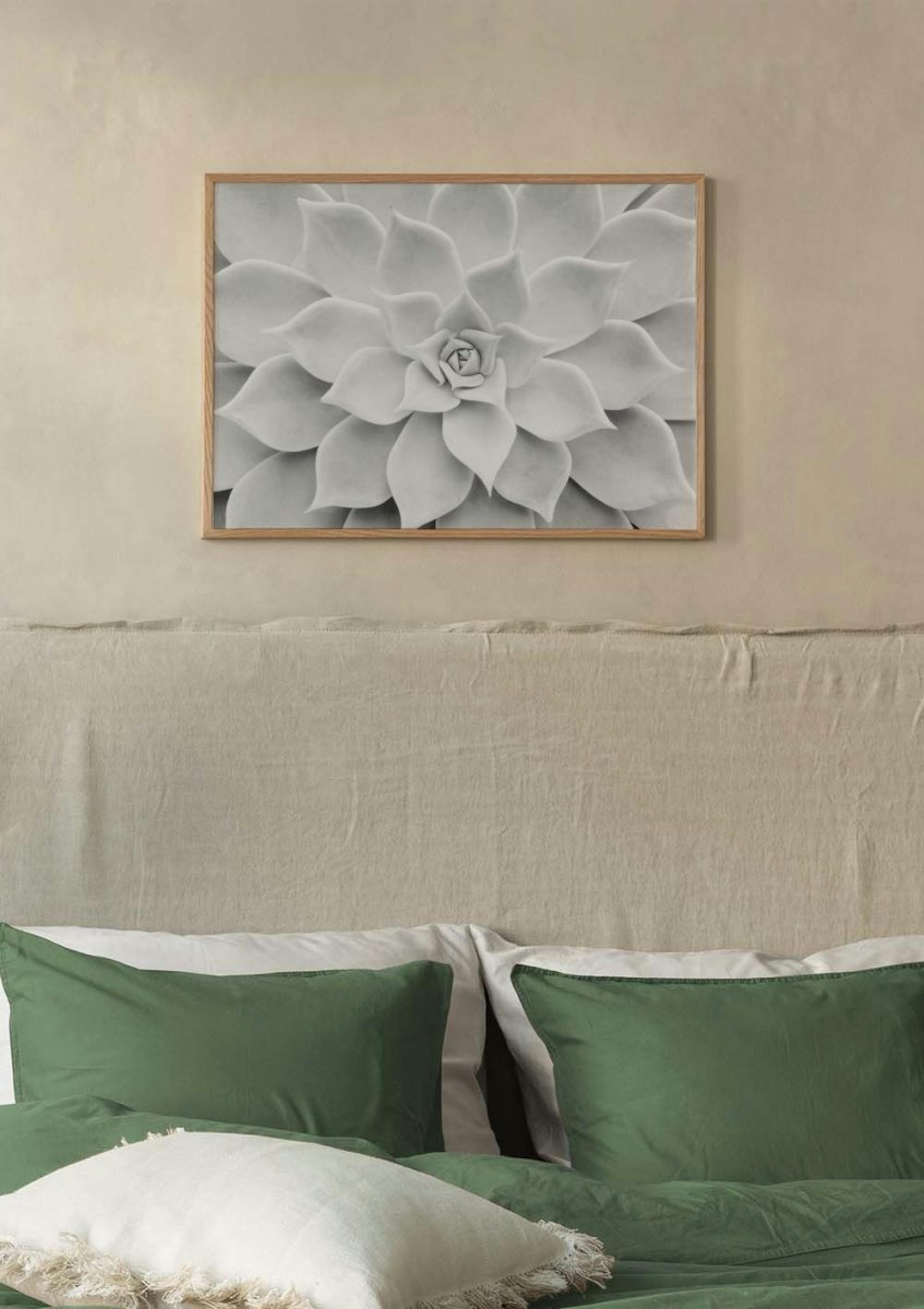 Hvid Succulent Plakat thumbnail