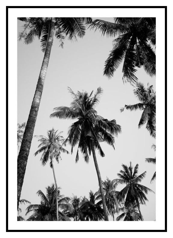 Pod Palmami Plakat (50x70 cm) - Poster Store