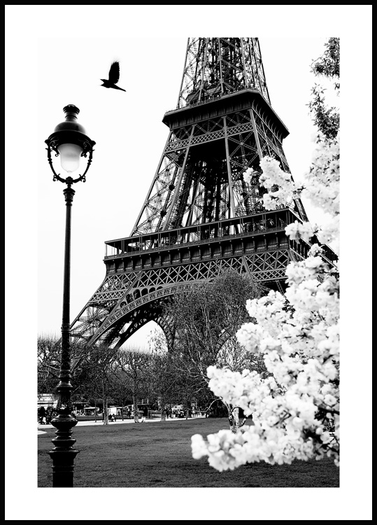 Marca comercial borgoña Boda Street of Paris Poster - Black and white posters