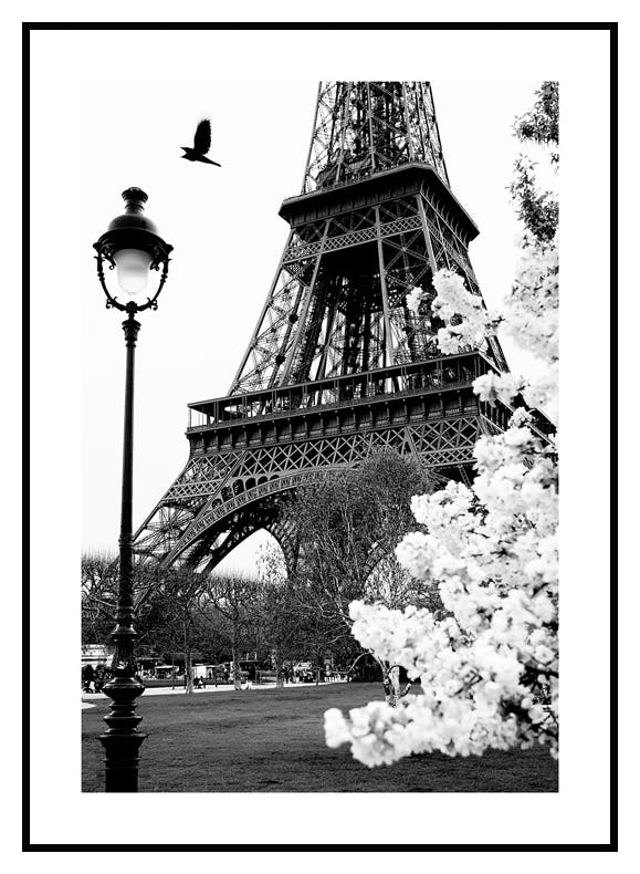 Plakat Paryska Ulica (21x30 cm) - Poster Store