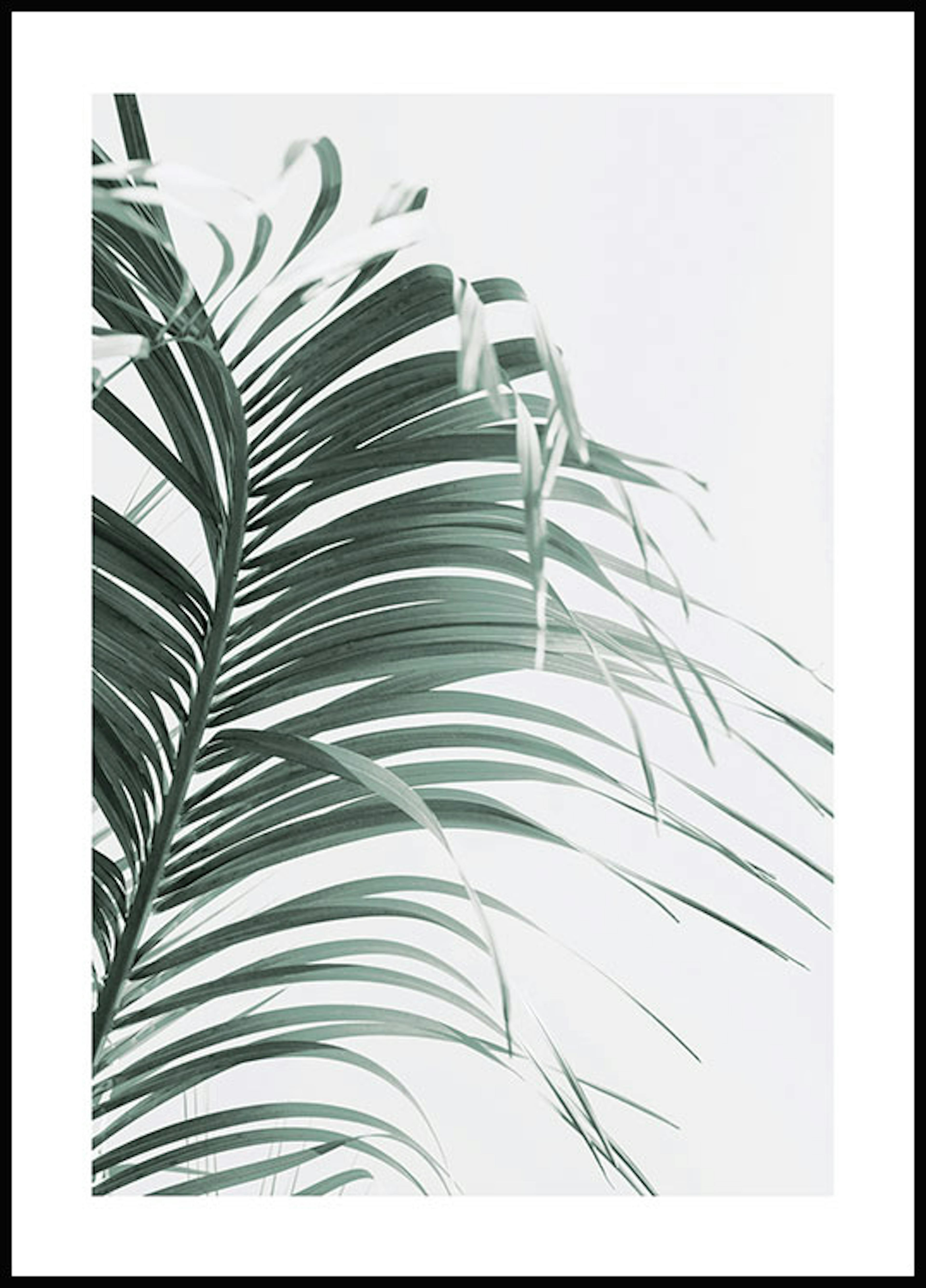Foglia verde di palma Poster 0