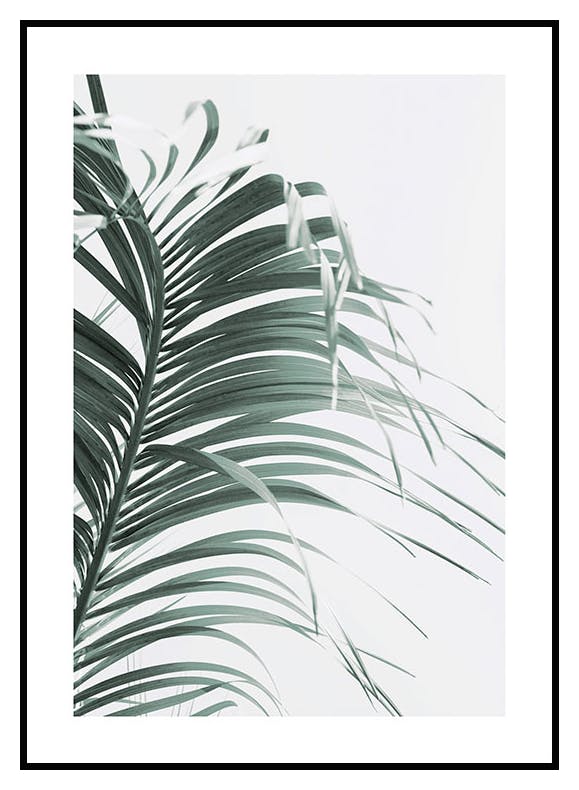 Grønt Palmeblad Plakat (30x40 cm) - Poster Store
