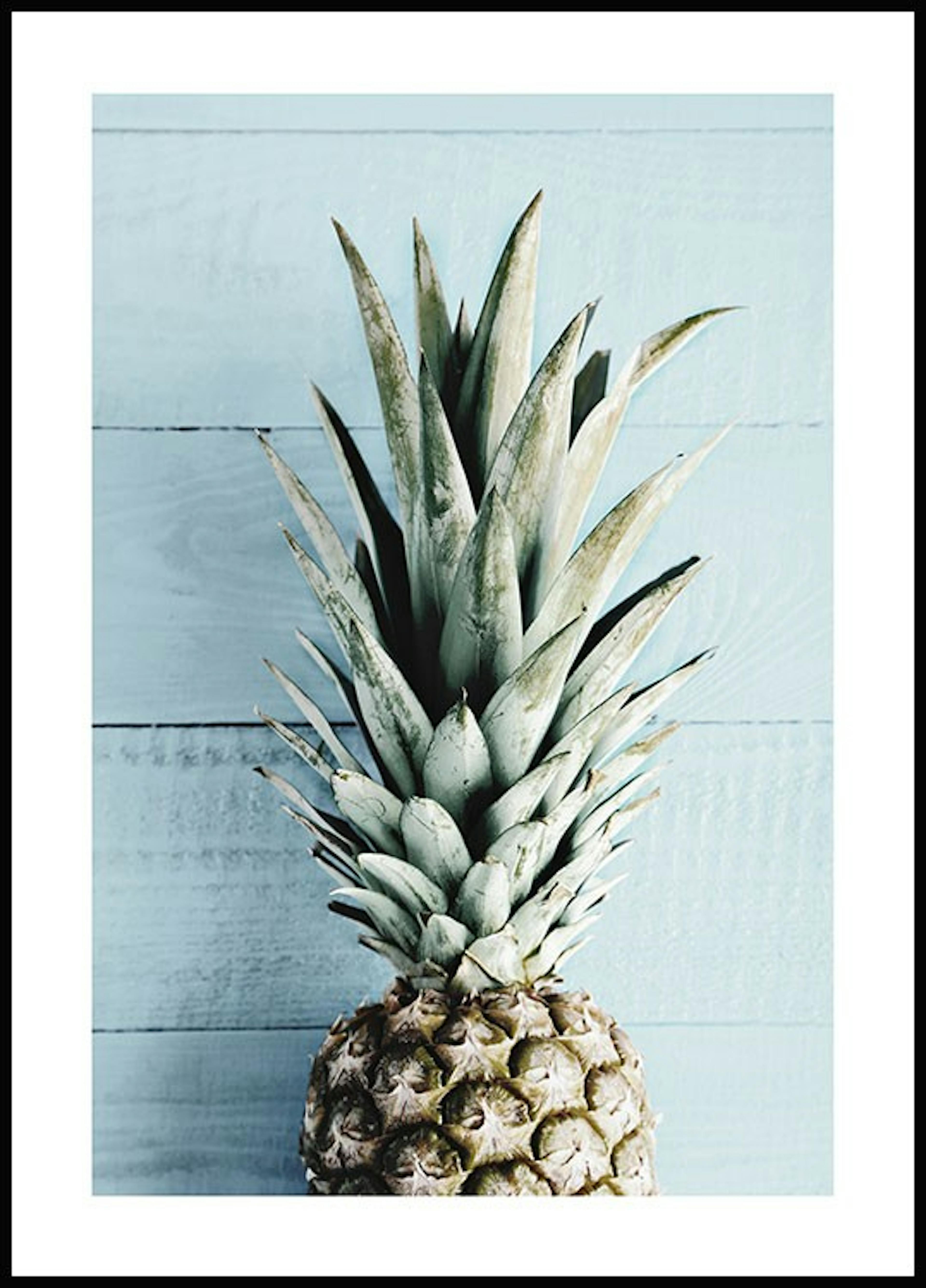 Blue Wall Pineapple Poster 0