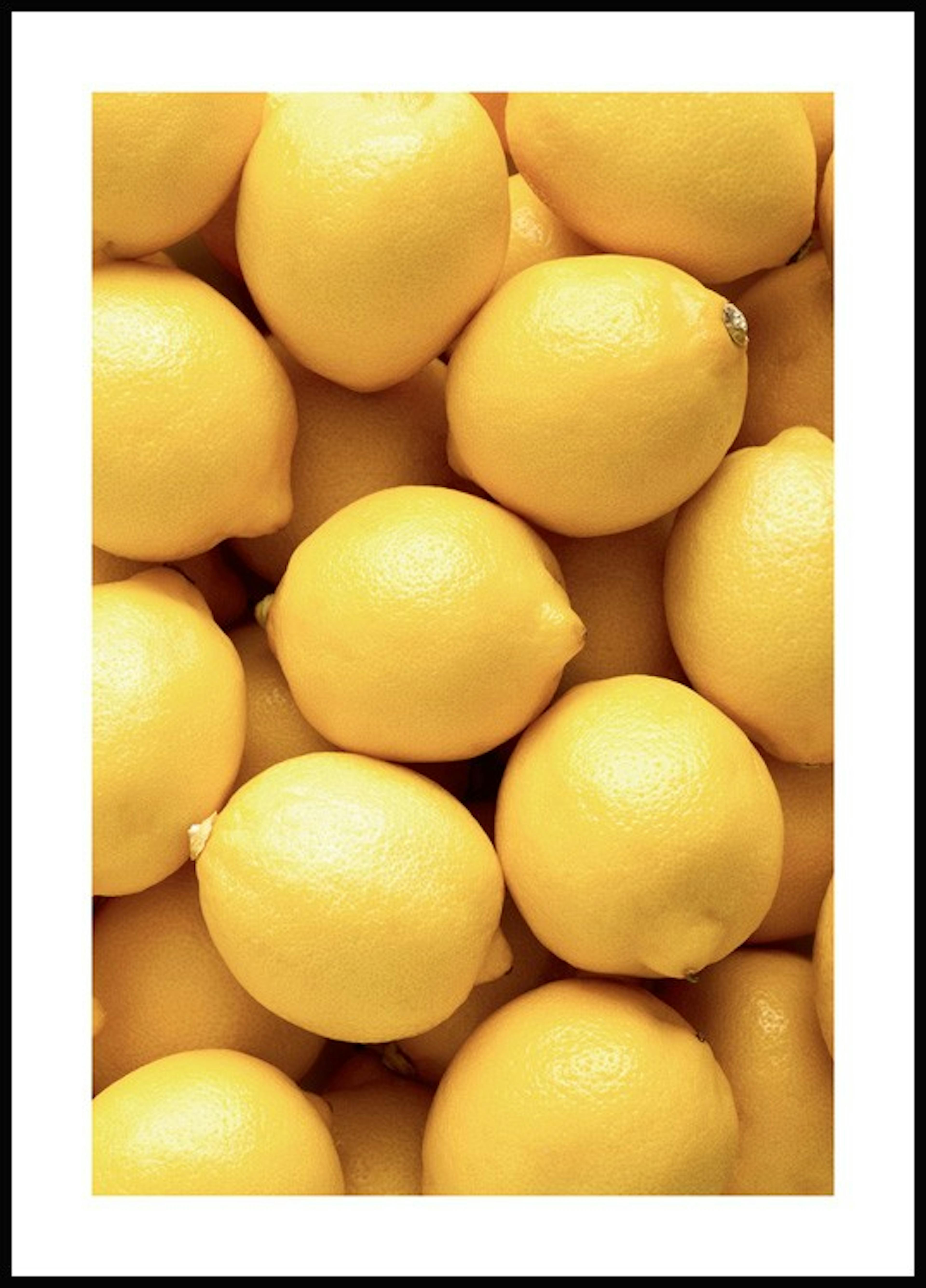 لوحة صورة الليمون 0