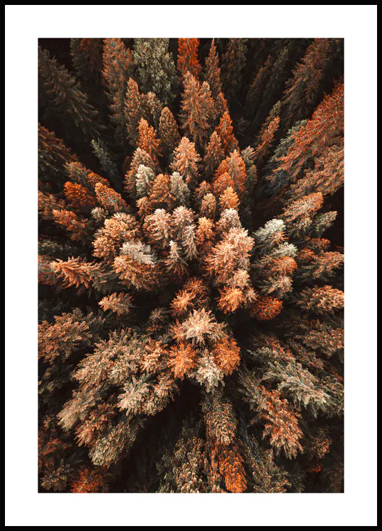 Poster Online Kauf Poster Und Kunstdrucke Posterstore de Poster online kauf poster und kunstdrucke posterstore de