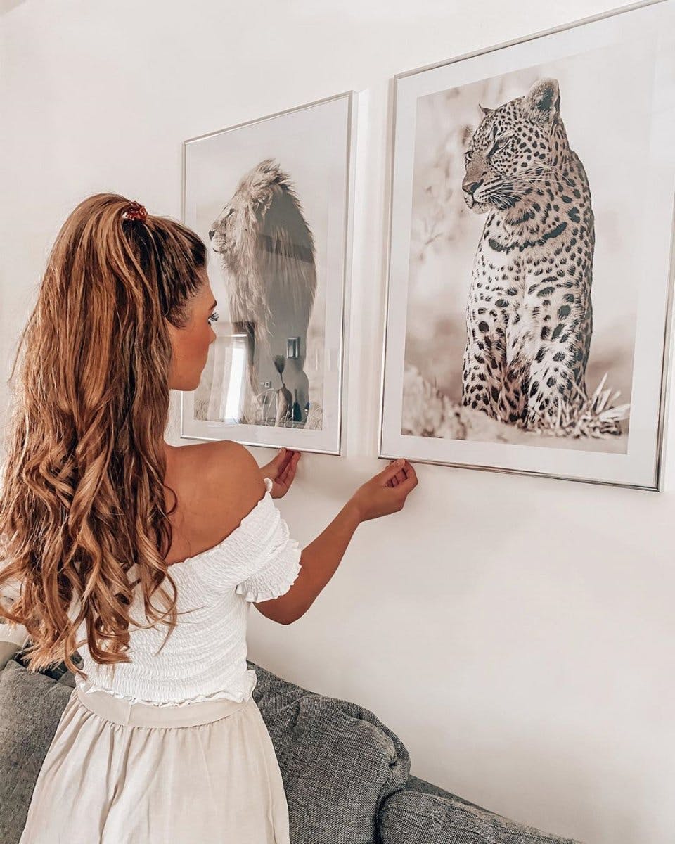 Beautiful animal posters lion leopard prints silver frames