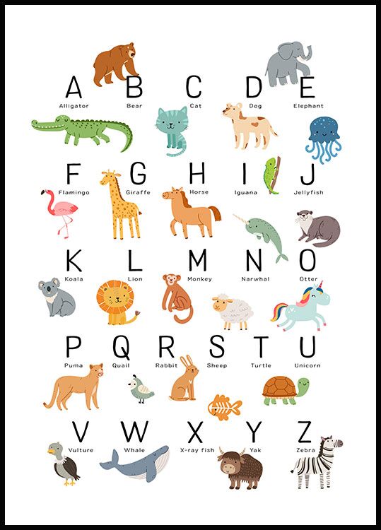 Zorgvuldig lezen rooster overhemd Animal Alphabet Poster - Educative poster for kids