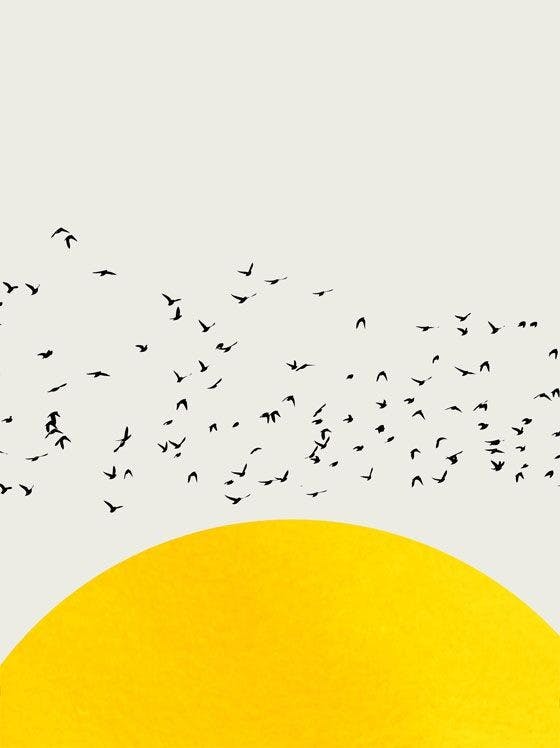 黄色の太陽と鳥たち ポスター 0