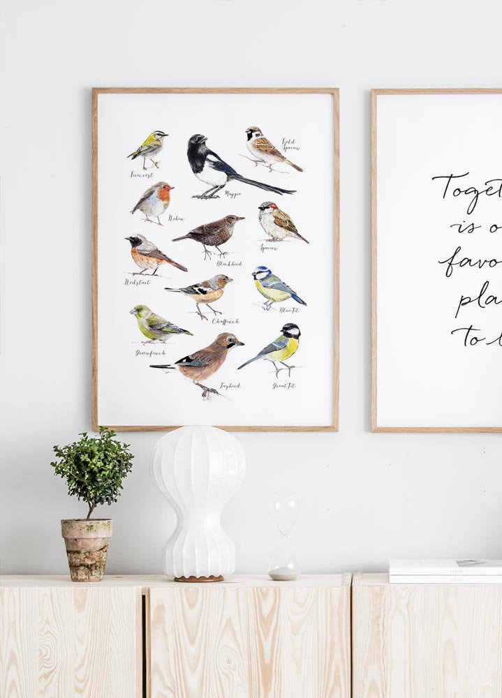 Poster Vögel