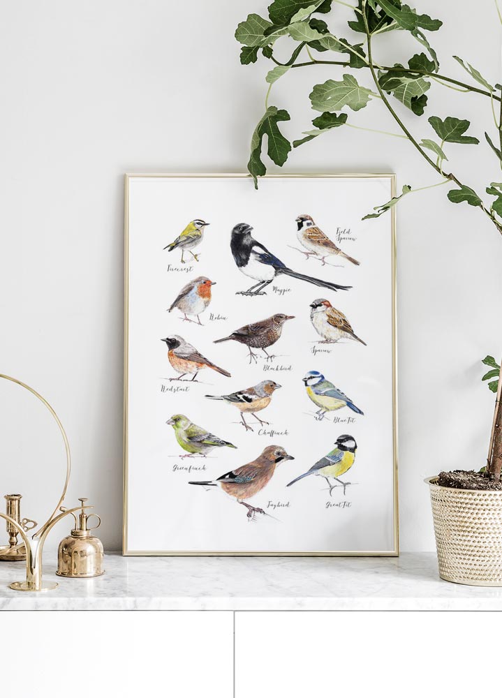 Vögel Poster