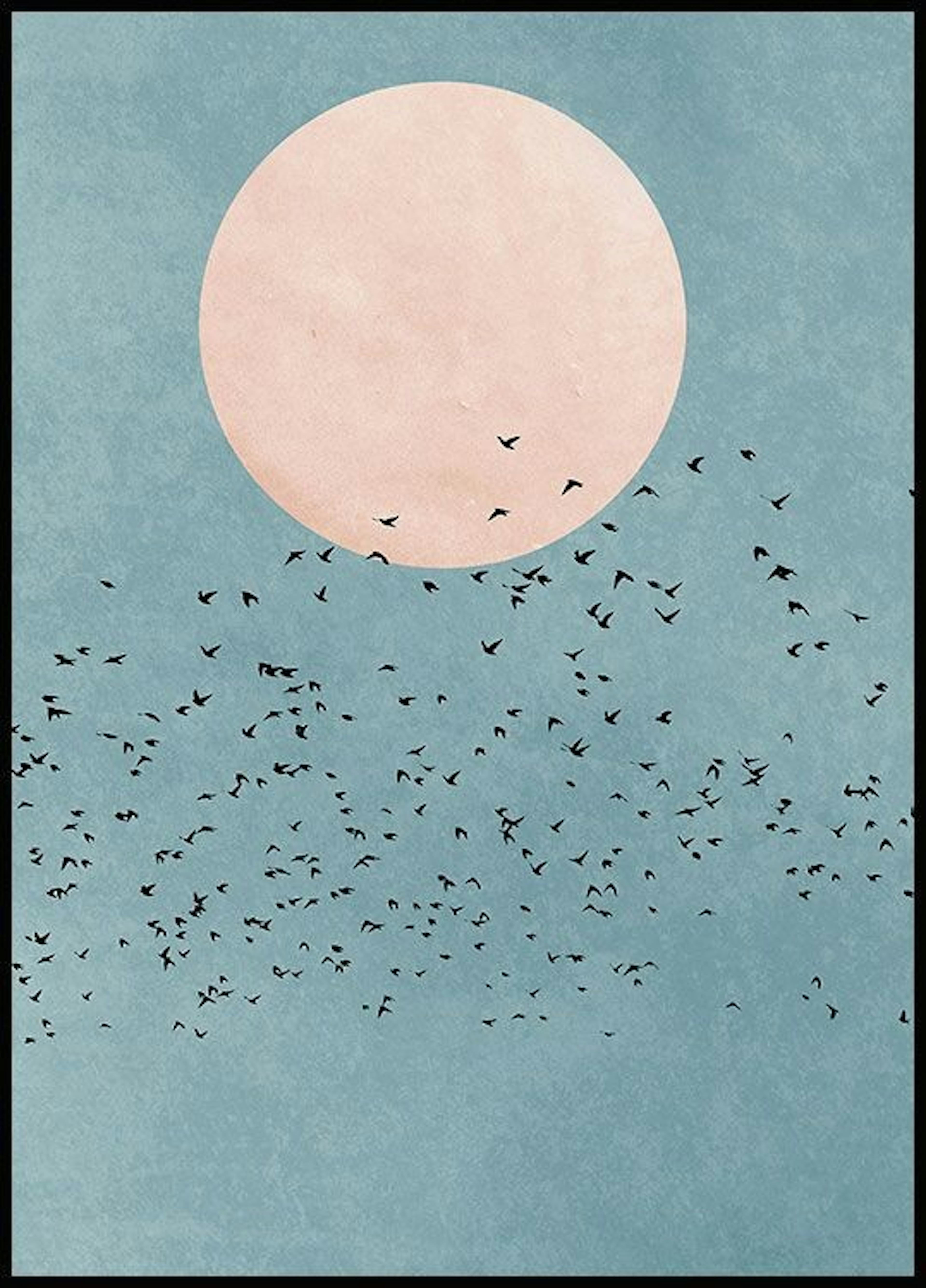 Blue Sky Birds Poster 0