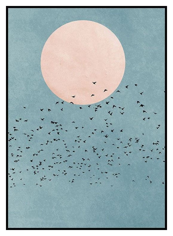 Blue Sky Birds Poster (30x40 cm) - Poster Store
