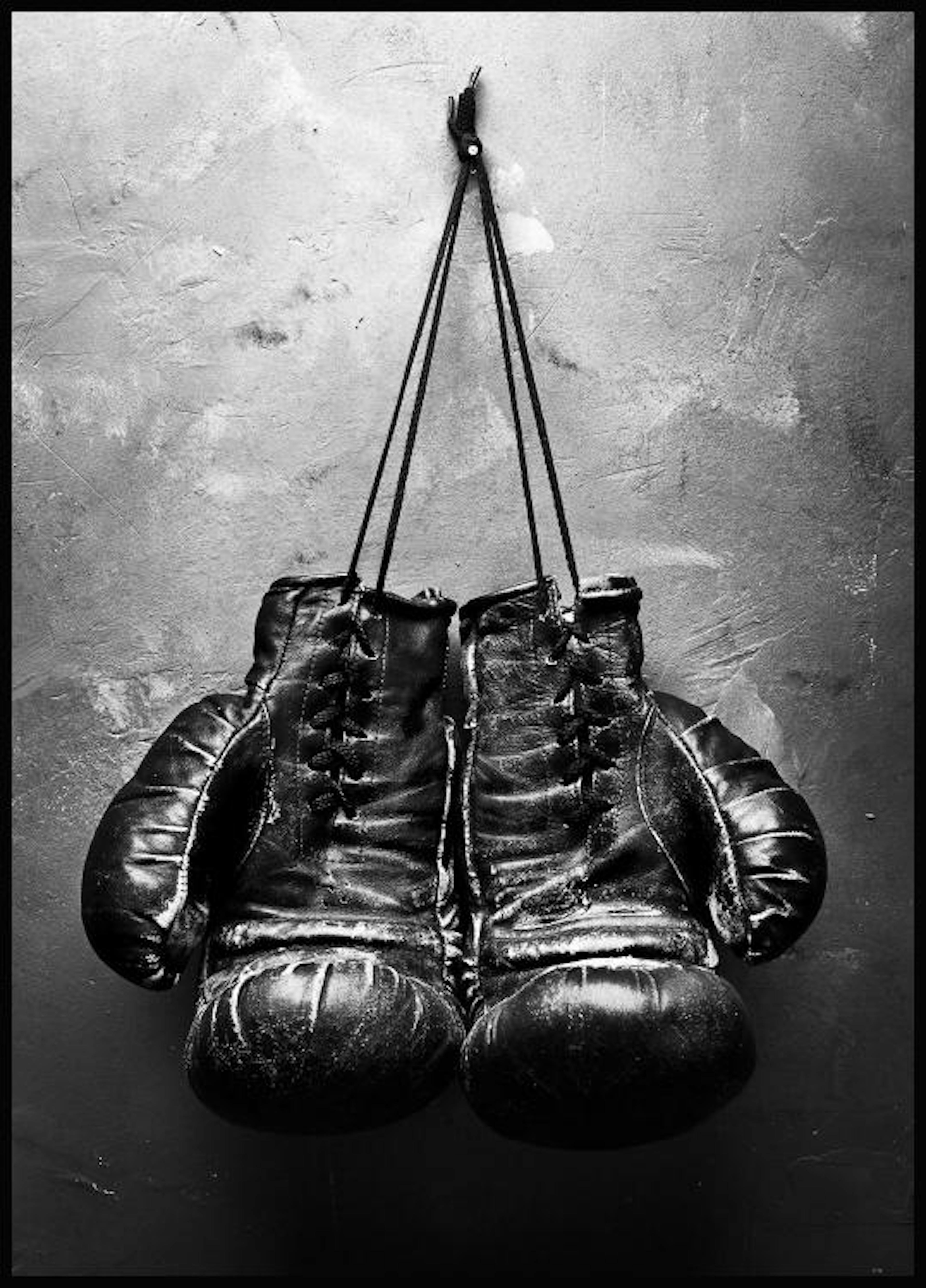 Boxing Gloves Poster thumbnail