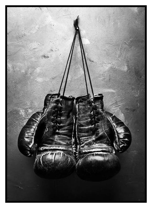 Boxing Gloves Poster (30x40 cm) - Poster Store