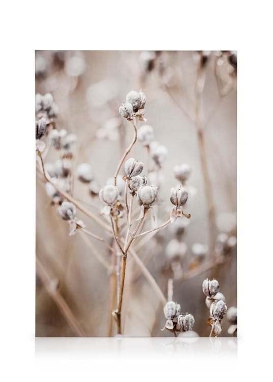 Obraz Beżowa natura (50x70 cm) - Poster Store