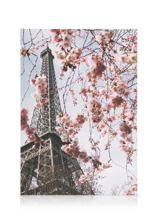 Bloeiende Eiffeltoren Canvas (50x70 cm - Fotolijst Zwart) - Poster Store