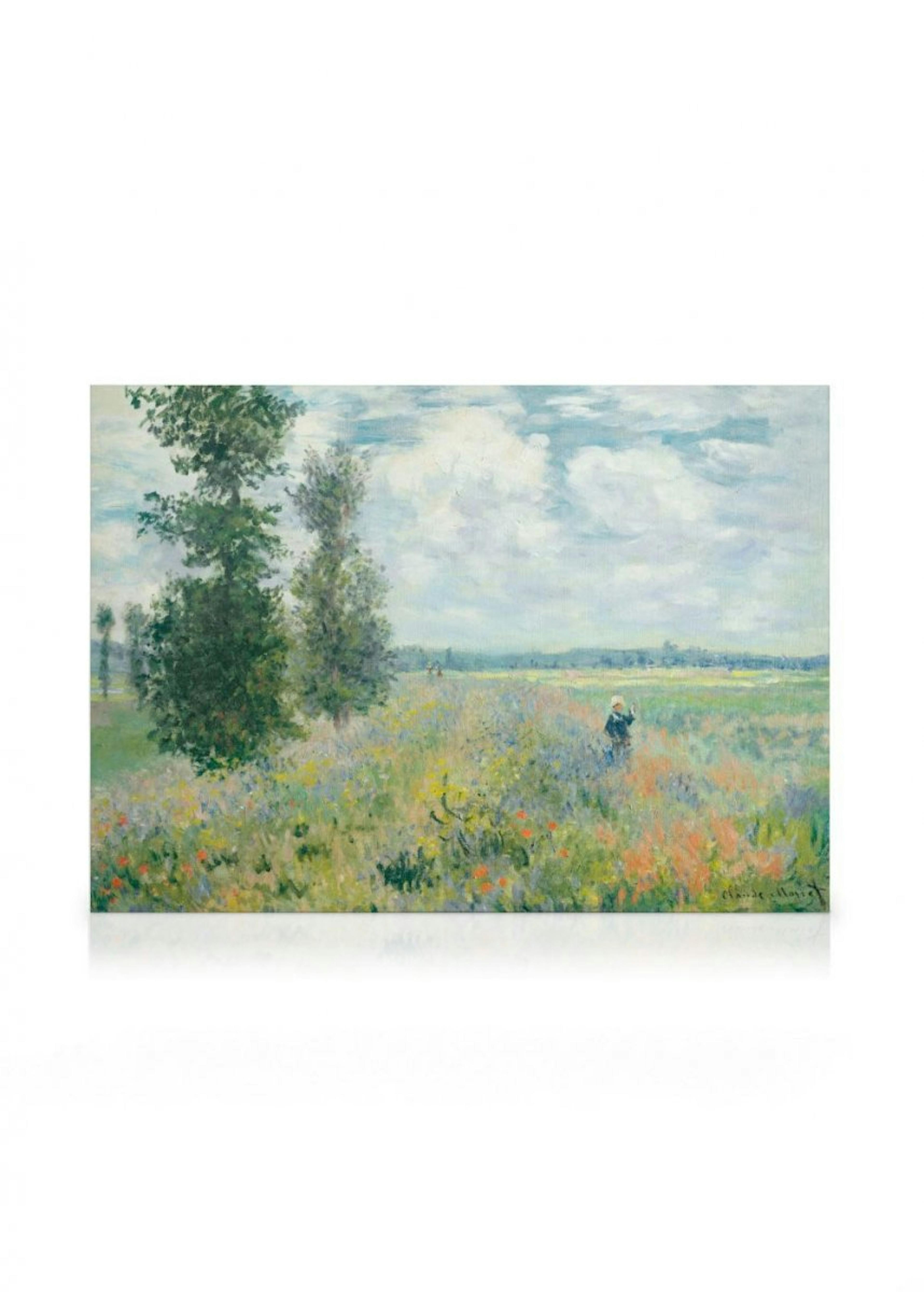 Monet - Poppy Fields near Argenteuil Obraz na płótnie 0