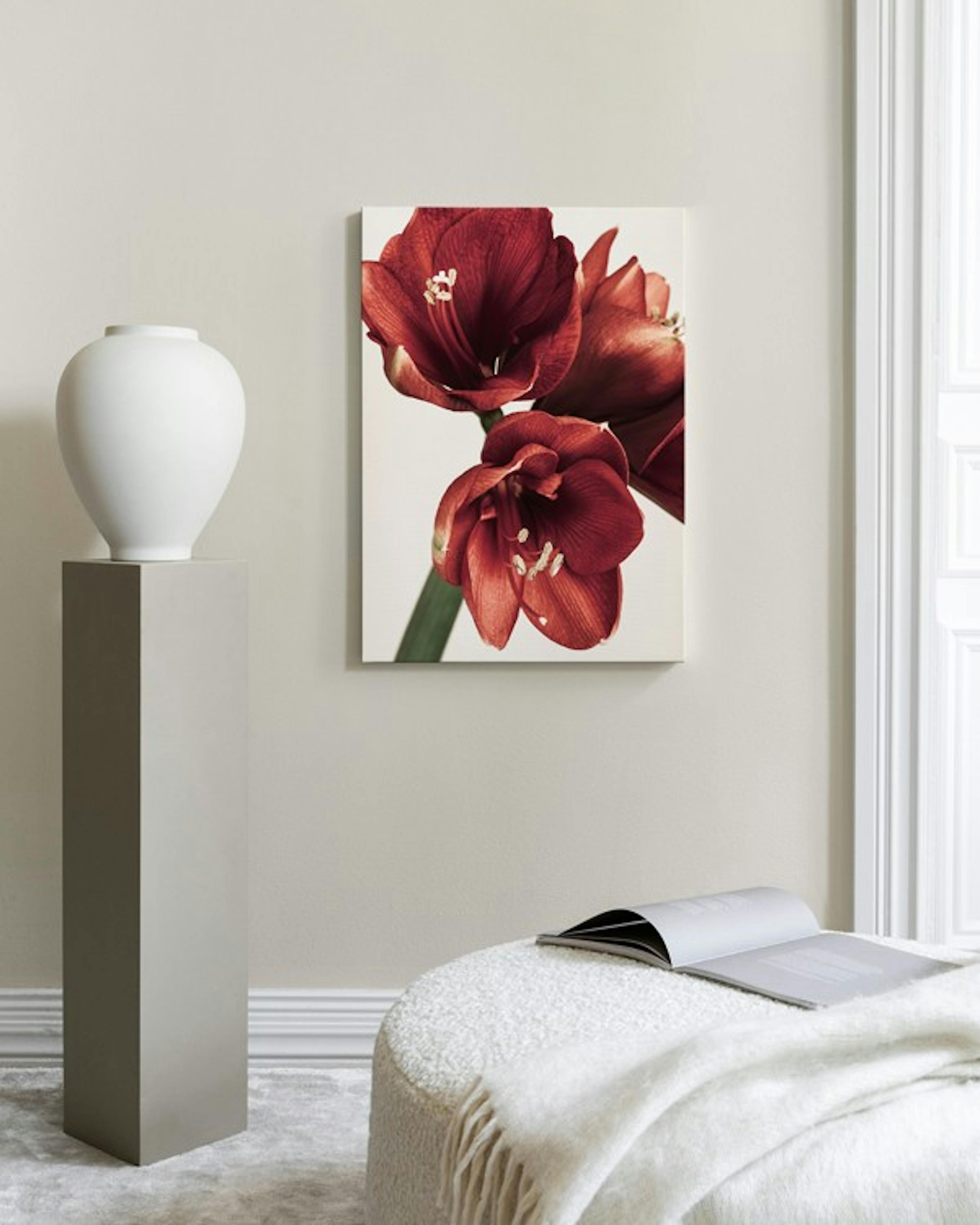 Amaryllis in Red Canvas thumbnail