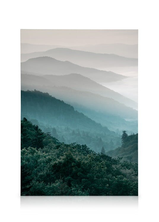 Forest hills Canvas (30x40 cm) - Poster Store