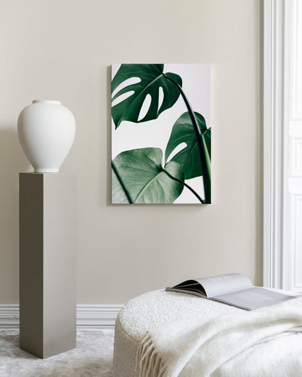 Canvas Prints - Monstera Leaves Canvas print (50x70 cm) - Poster Store