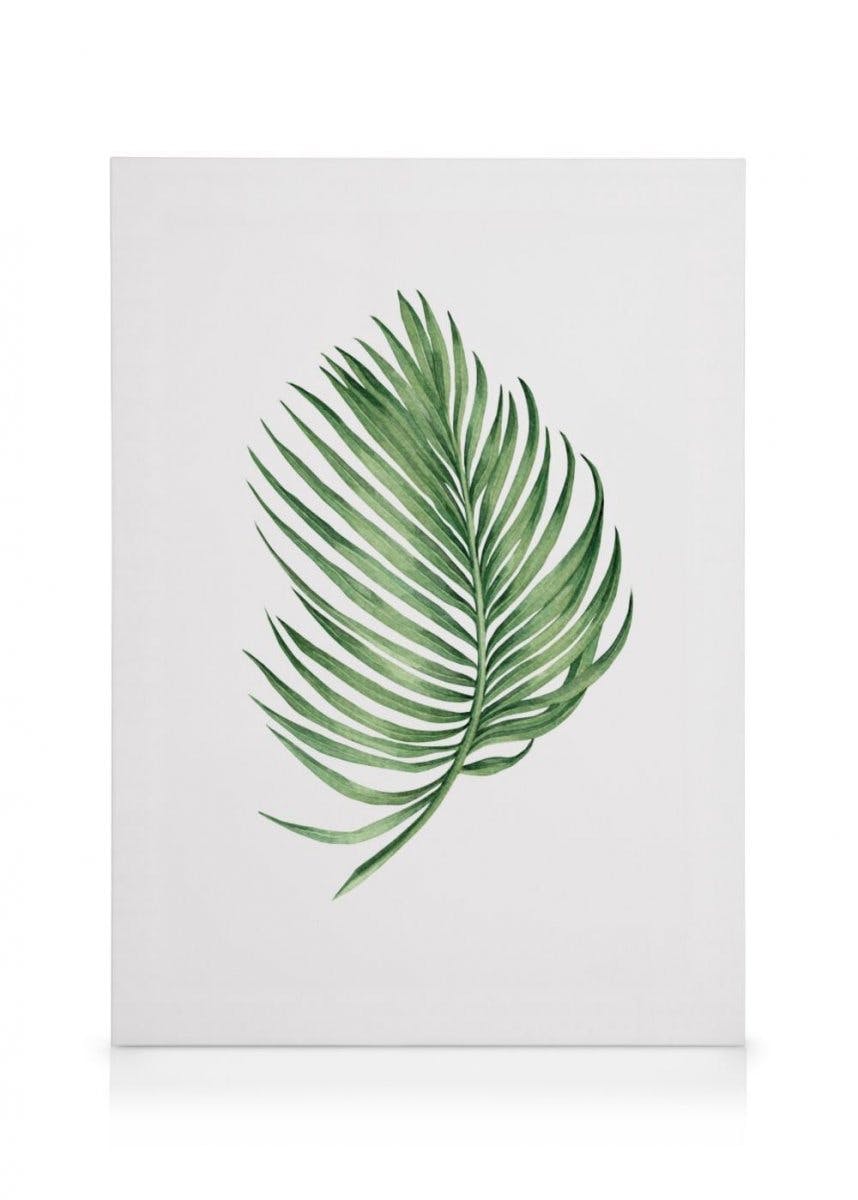 Canvas Prints - Arecaceae Leaf Canvas print (30x40 cm - Oak Frame) - Poster Store