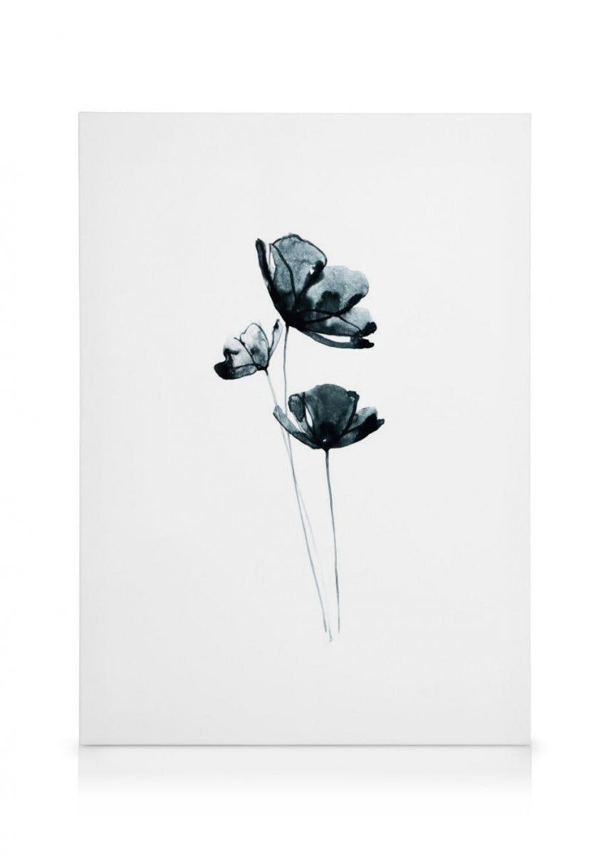 Flores Oscuras Lienzo (50x70 cm - Marco de negro) - Poster Store