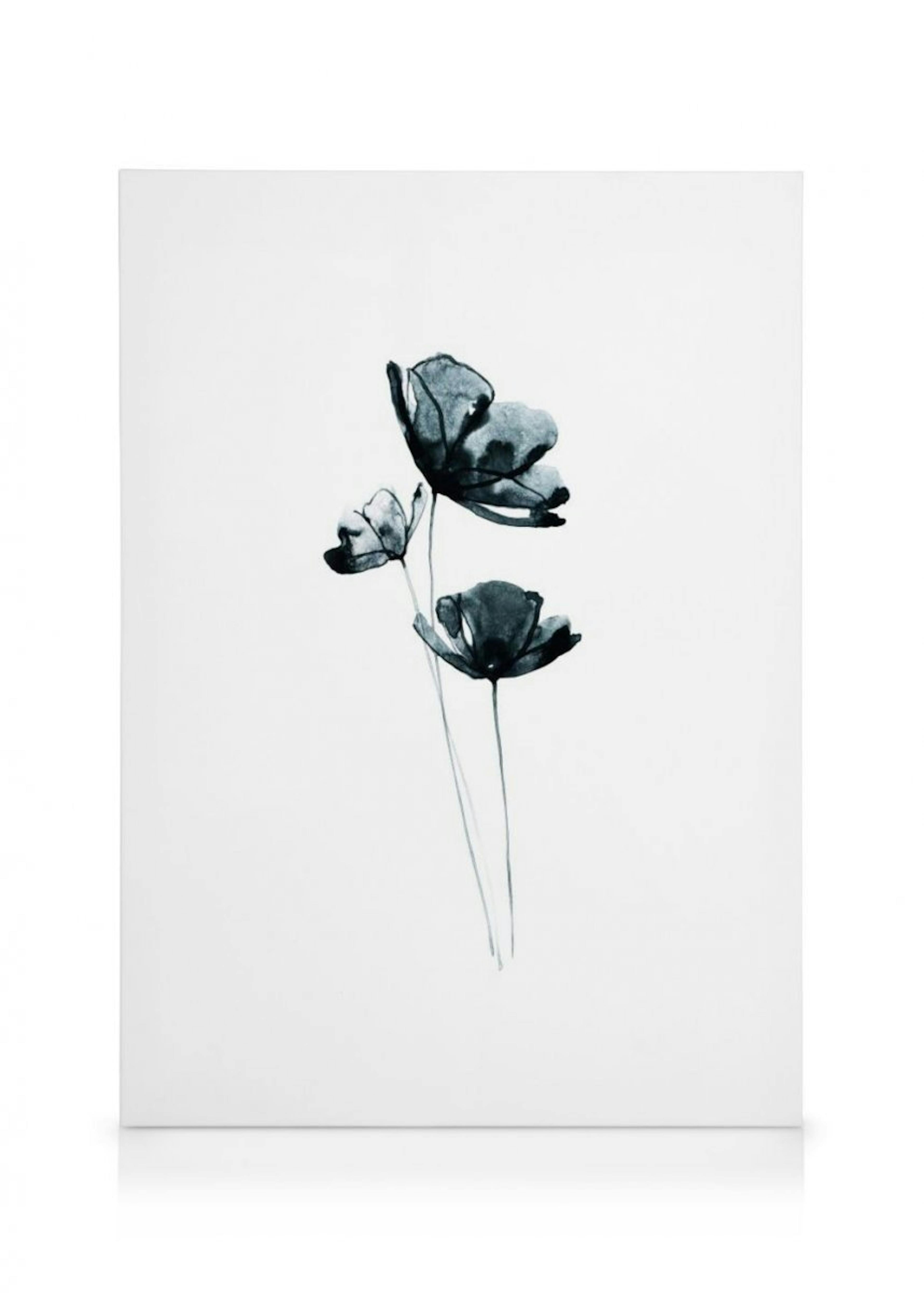 Dark Flowers Canvas 0