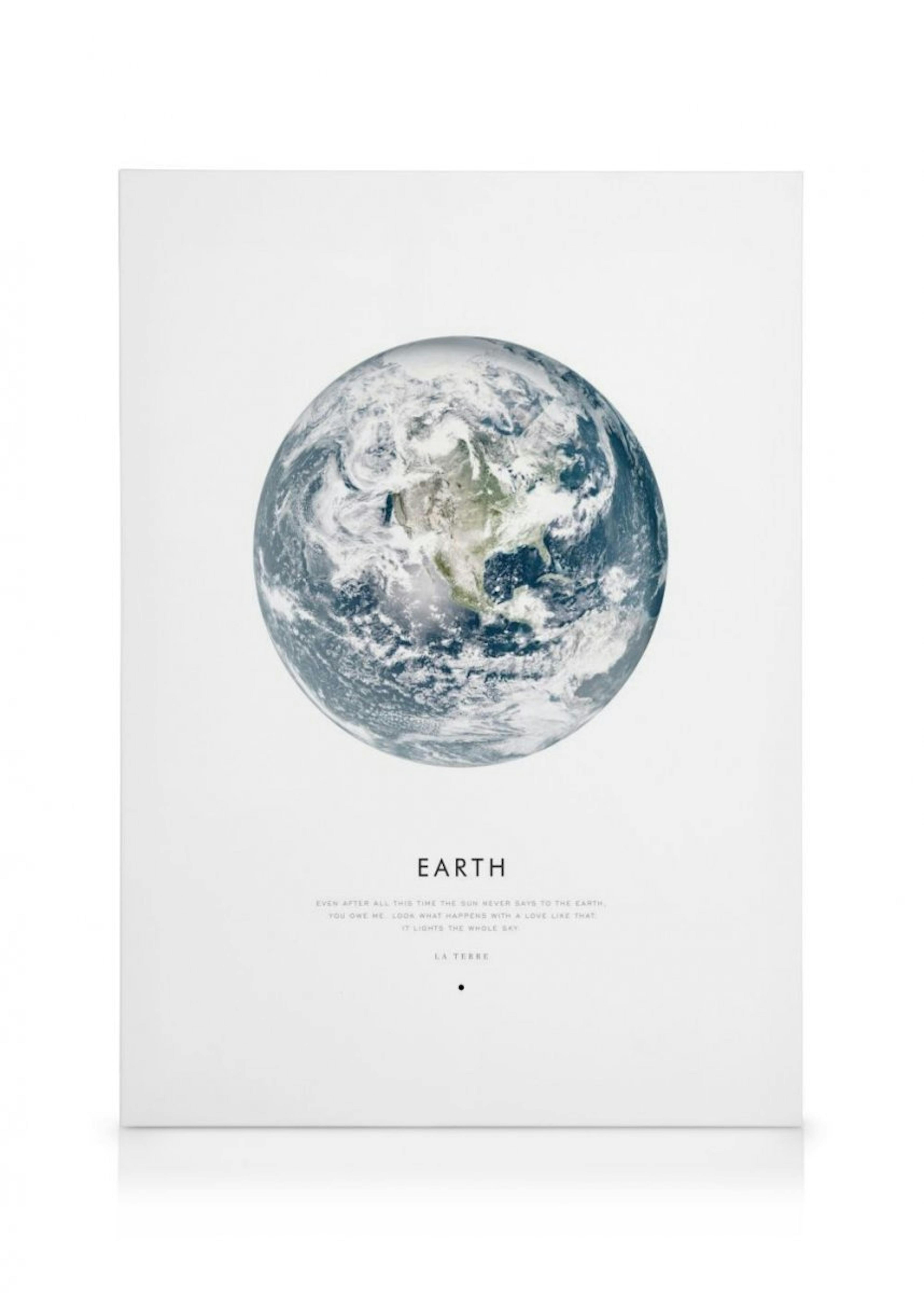 Earth Canvas Print 0