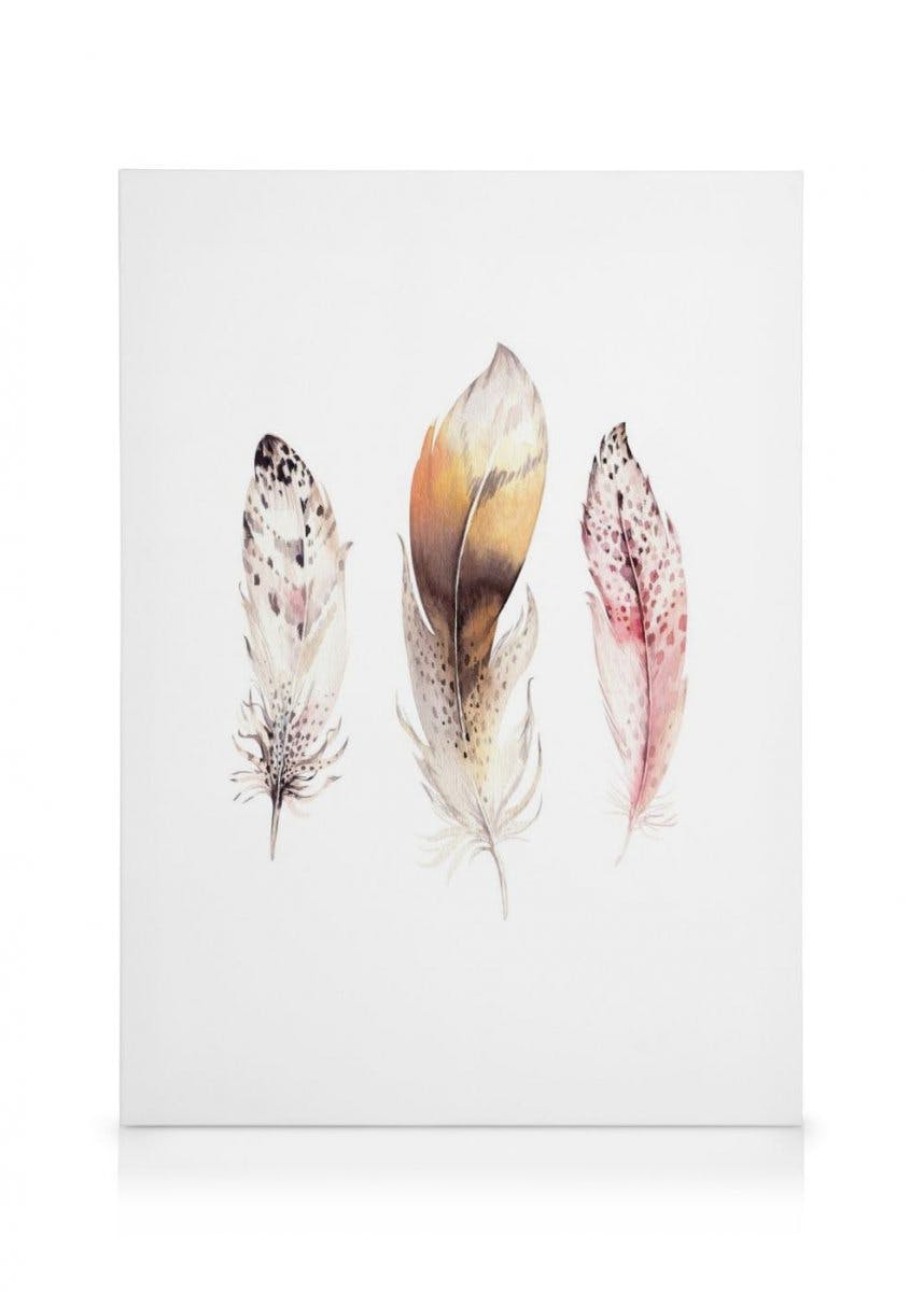Canvas Prints - Feathers Canvas print (50x70 cm - Black Frame) - Poster Store