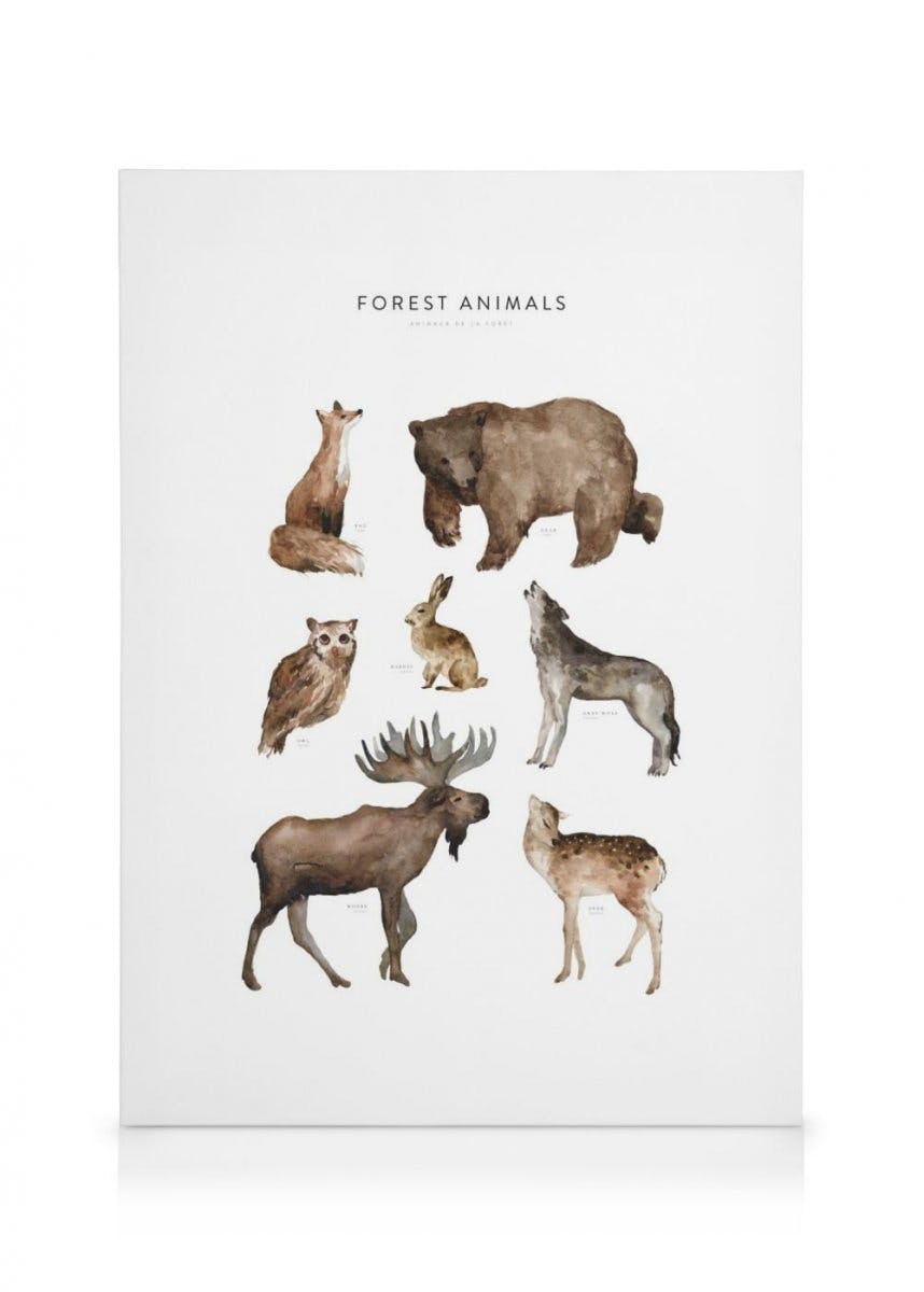Forest Animals Canvas Print (70x100 cm - Oak Frame) - Poster Store