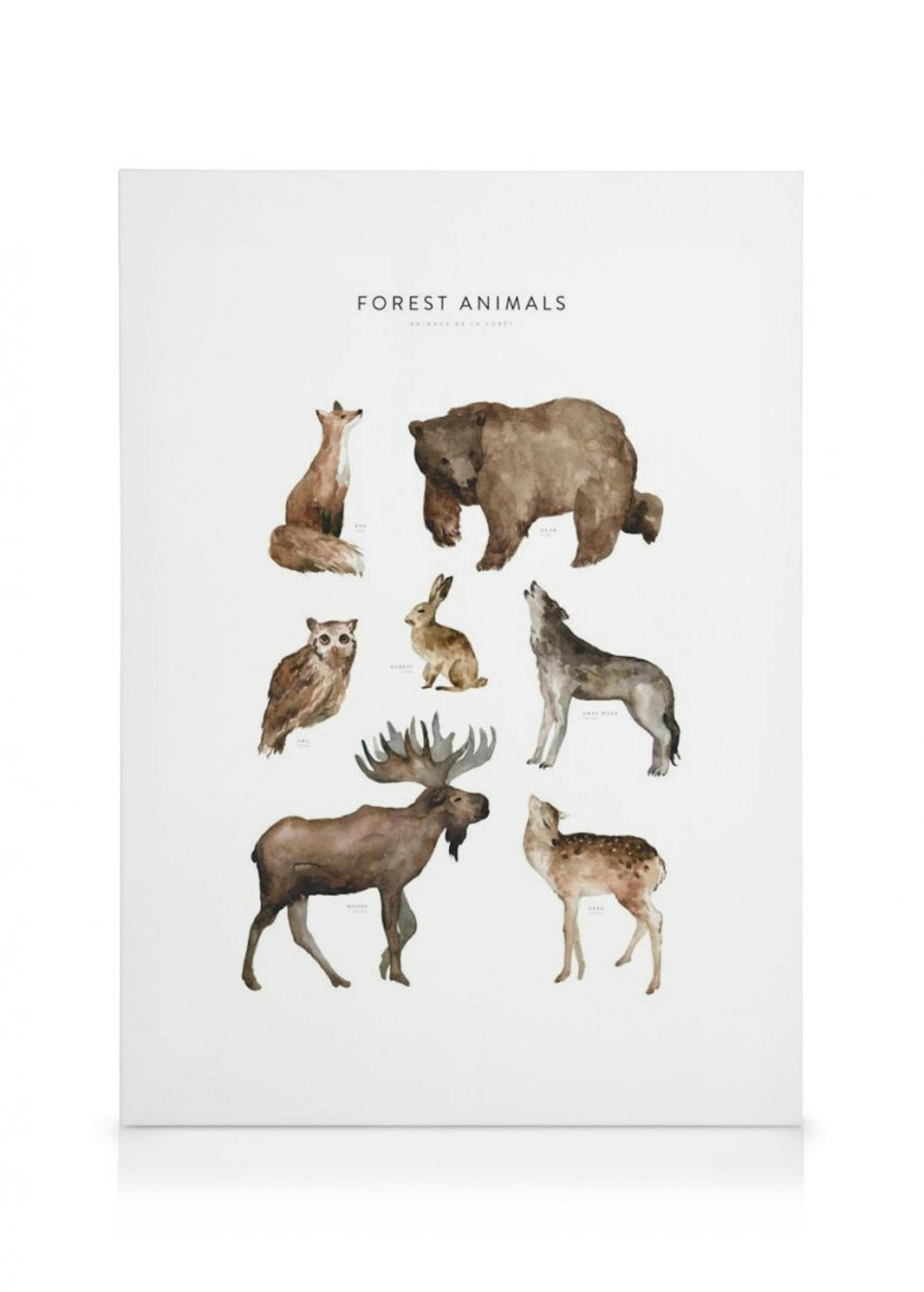 Forest Animals Canvas Print 0