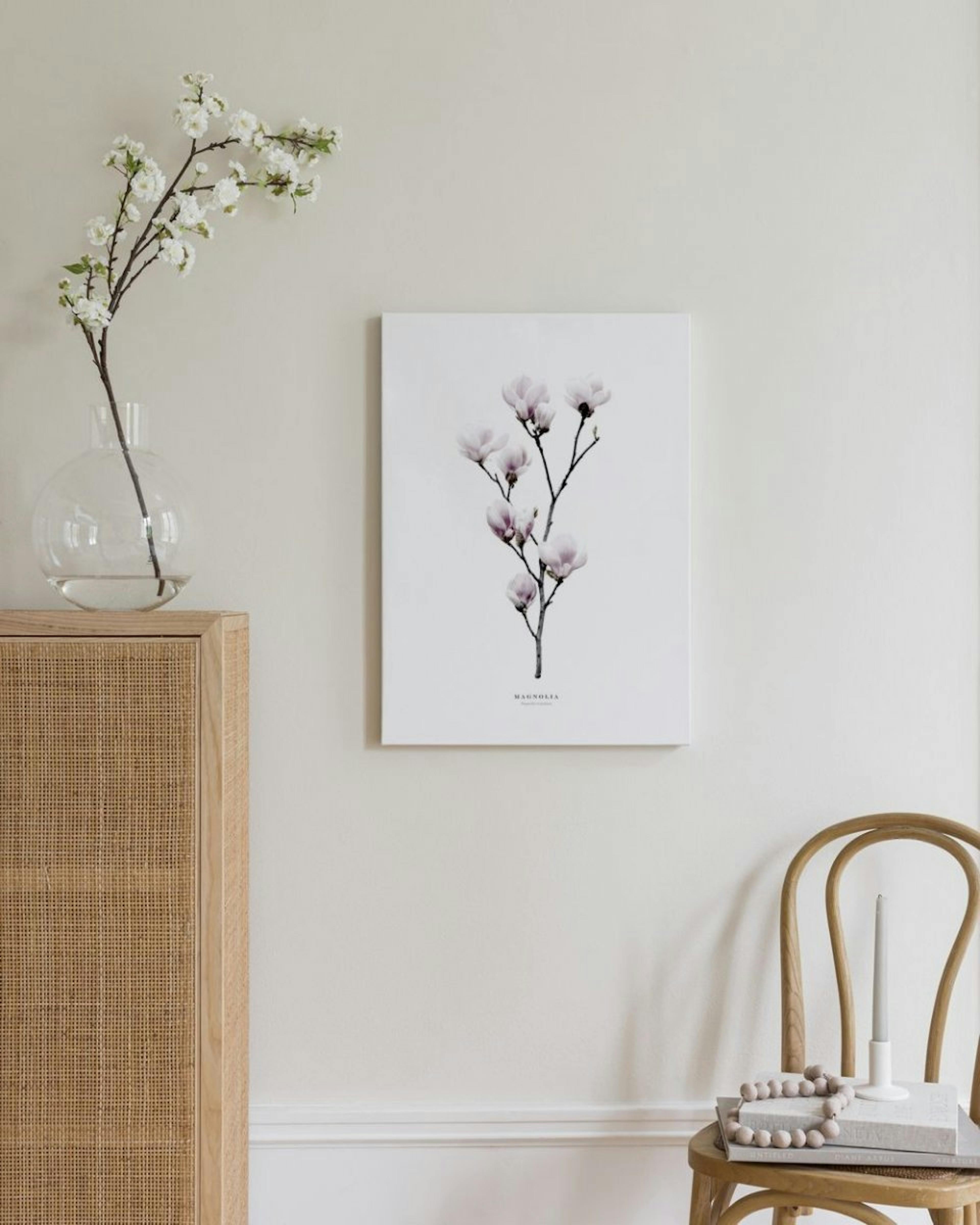 Magnolia Canvas Print thumbnail