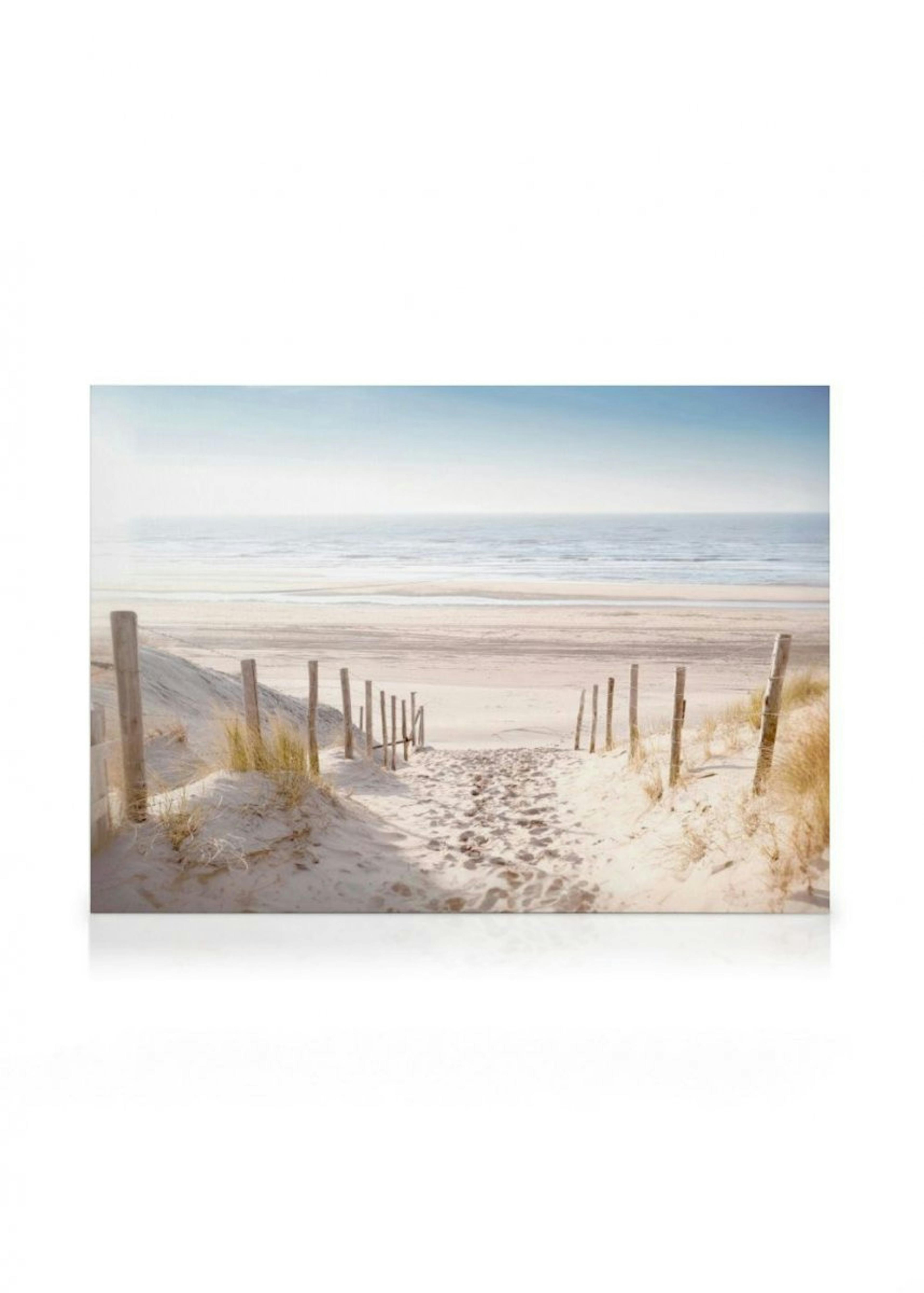 North Sea Dunes Canvas Print 0