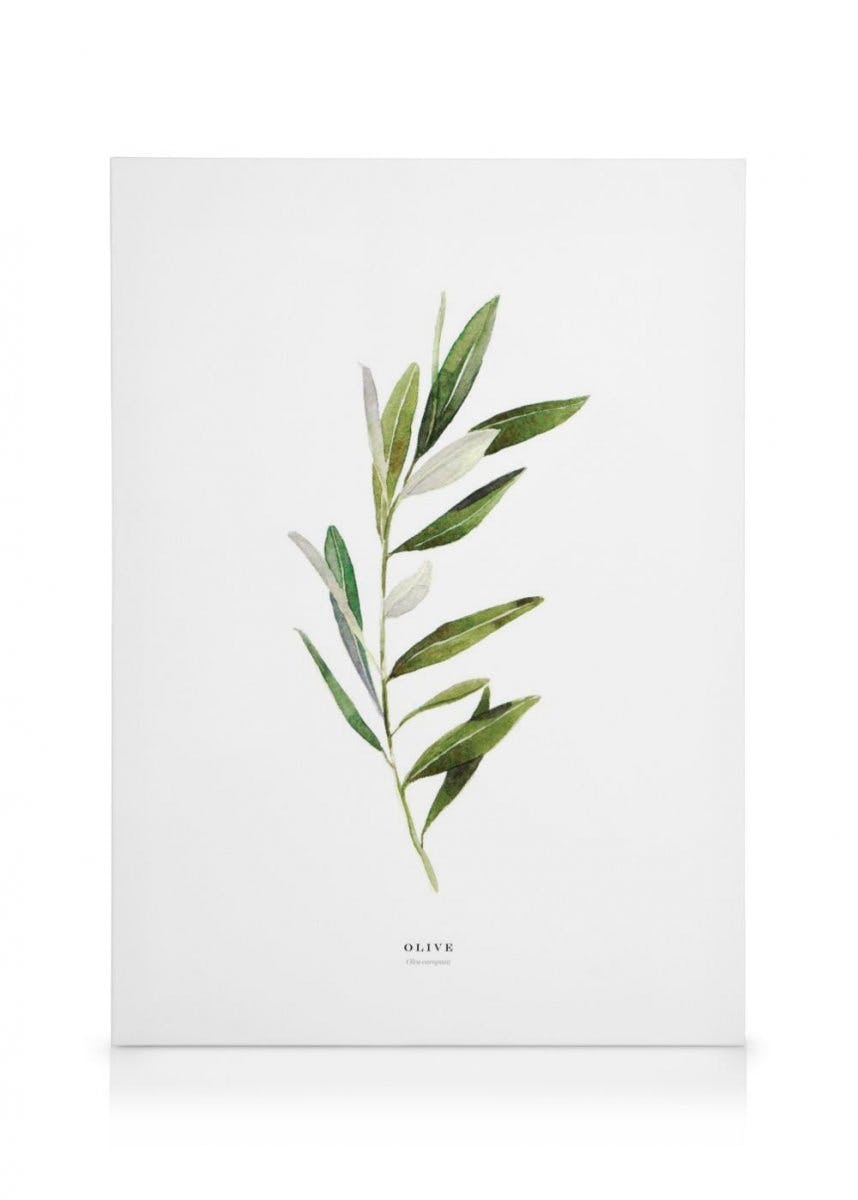 Toile Olive (70x100 cm - Cadre noir) - Poster Store
