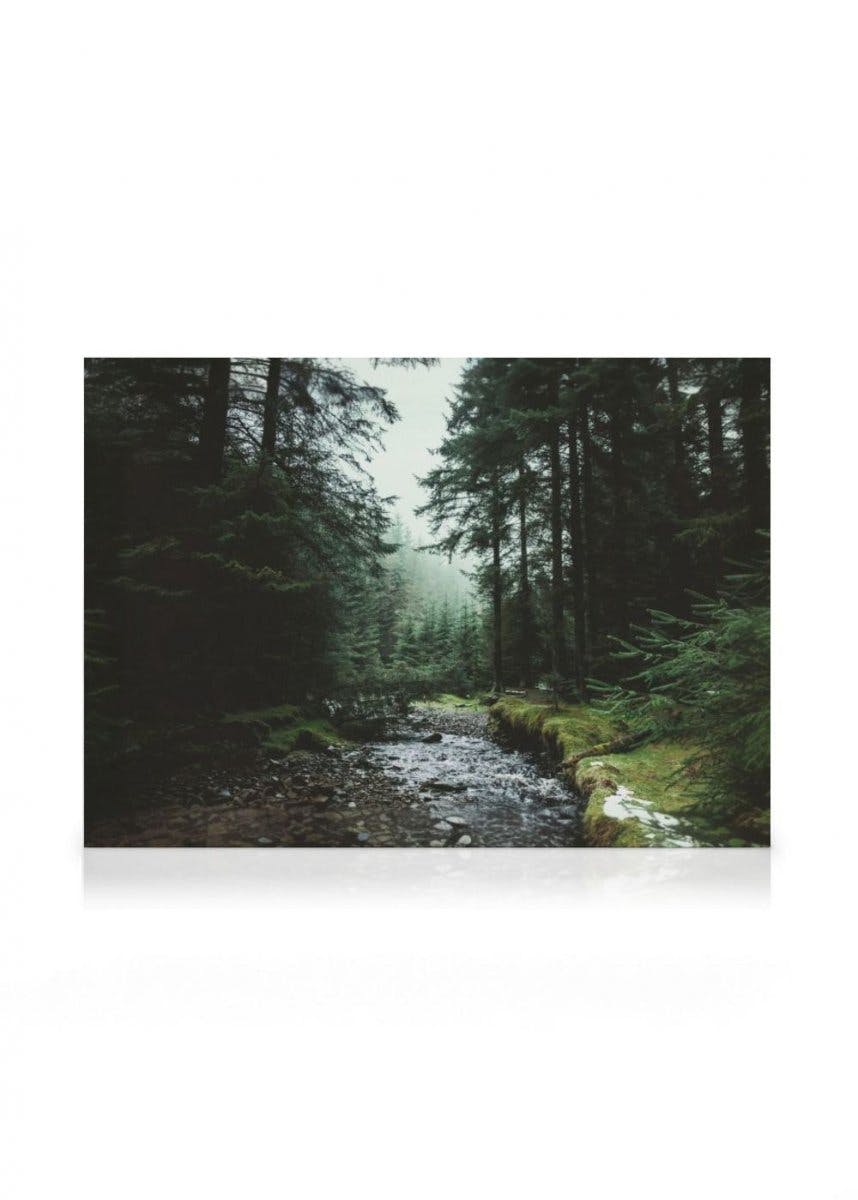 Canvas Prints - Springtime in Narnia Canvas print (30x40 cm - Black Frame) - Poster Store