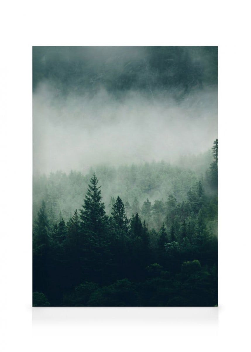 Canvastavlor - Trädkronor Dimma Canvastavla (30 x 40 cm - Ekram) - Poster Store
