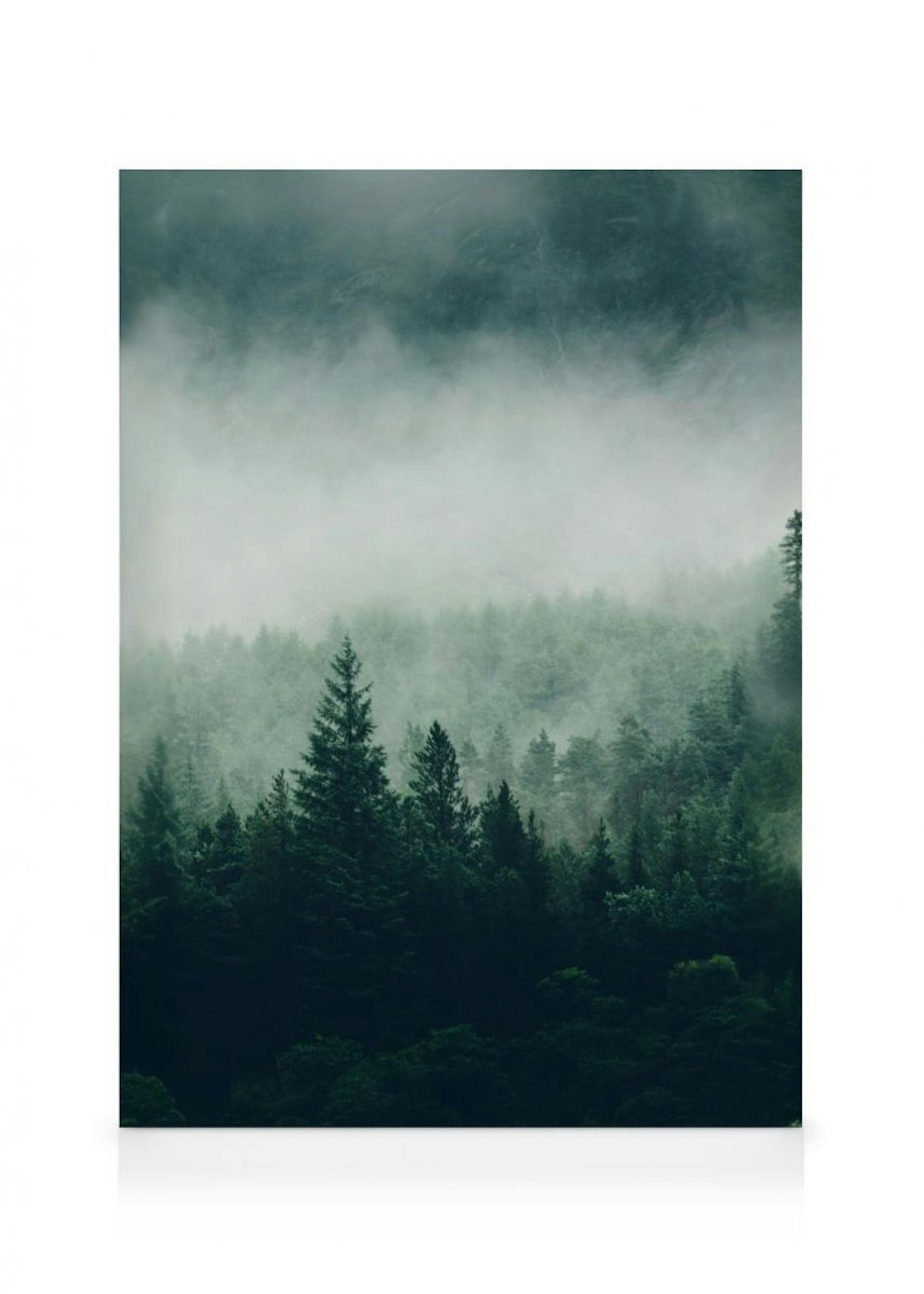 Tree Top Fog Canvas print thumbnail