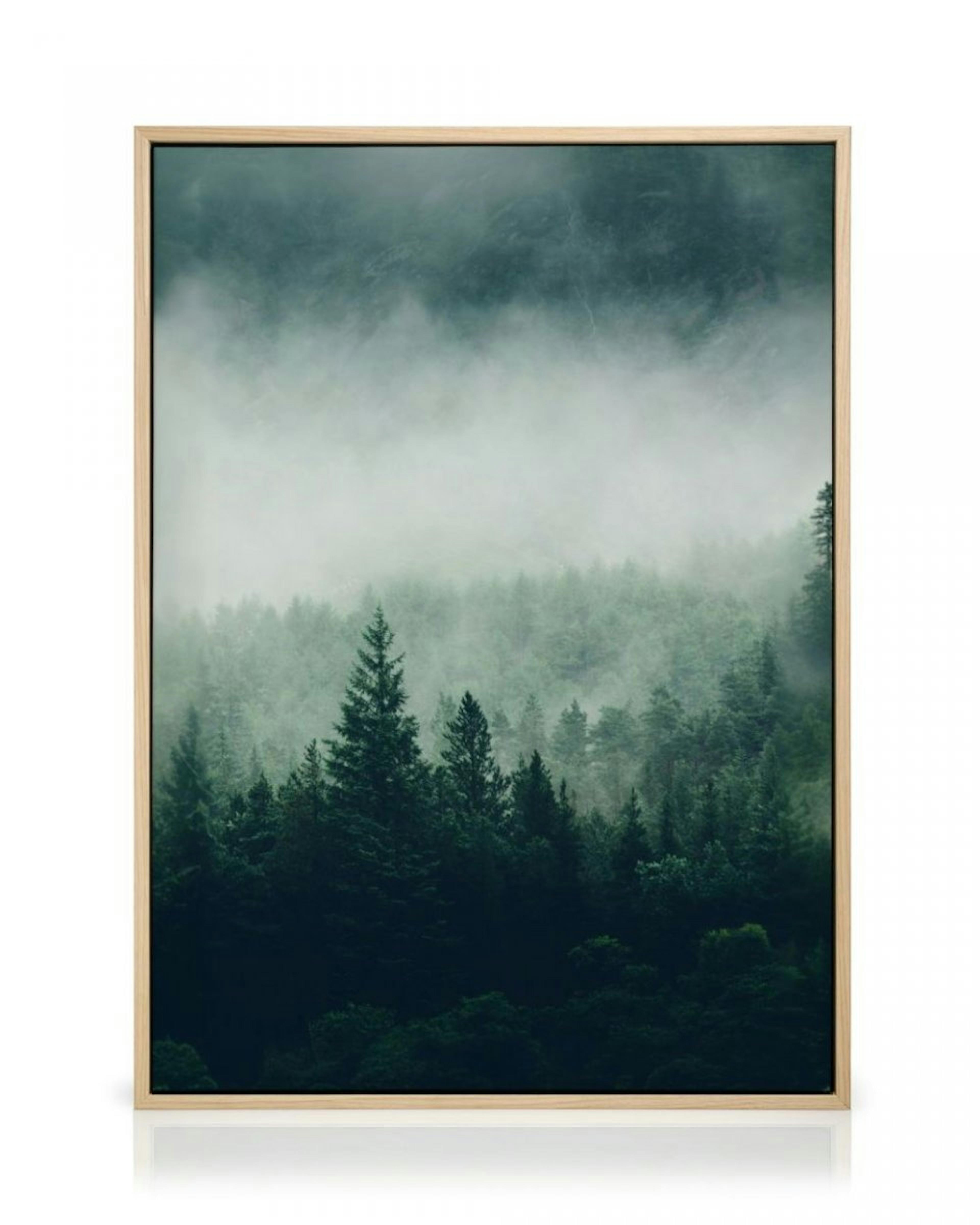 Tree Top Fog Canvas print thumbnail