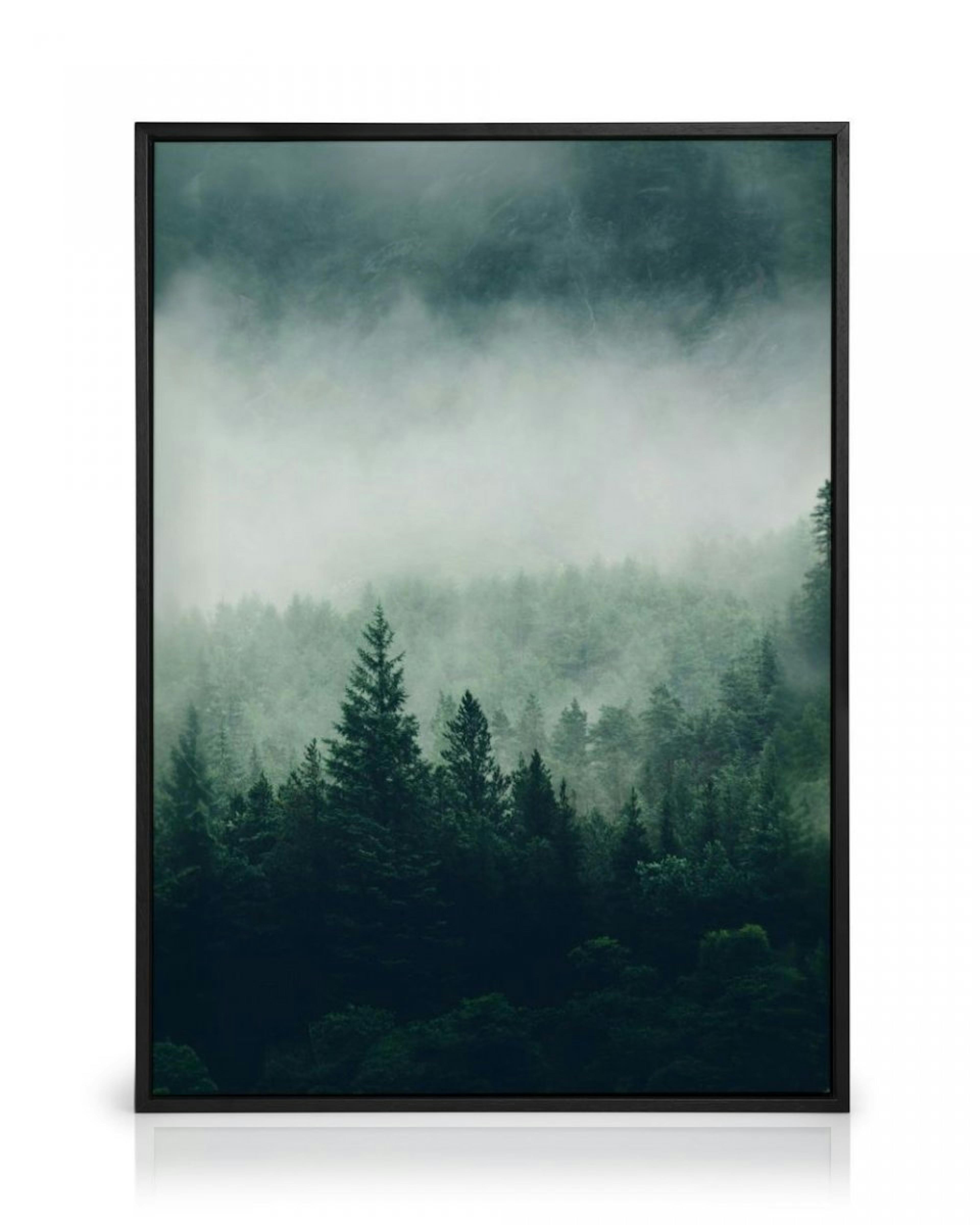 Tree Top Fog Canvas thumbnail