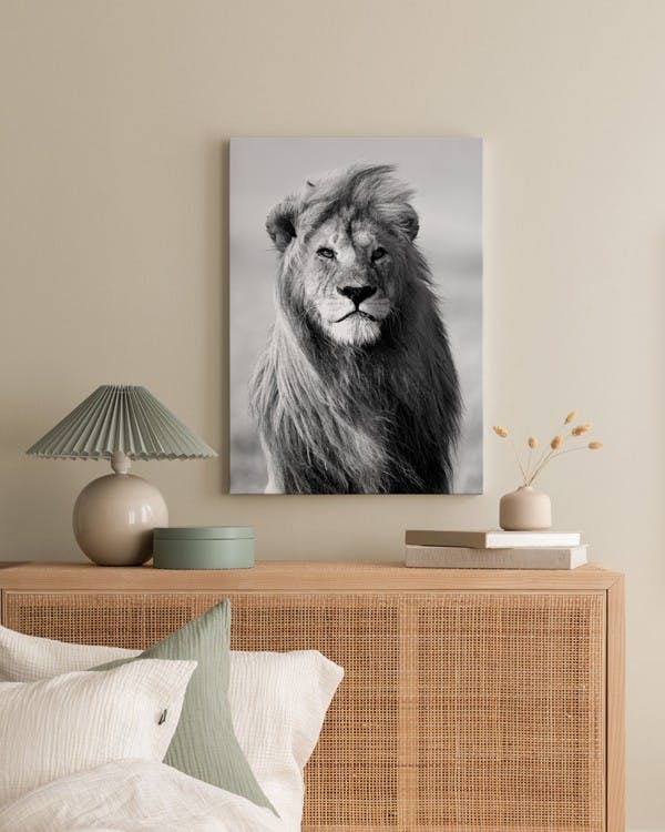 Canvas Prints - Majestic Lion Canvas print (30x40 cm - Oak Frame) - Poster Store