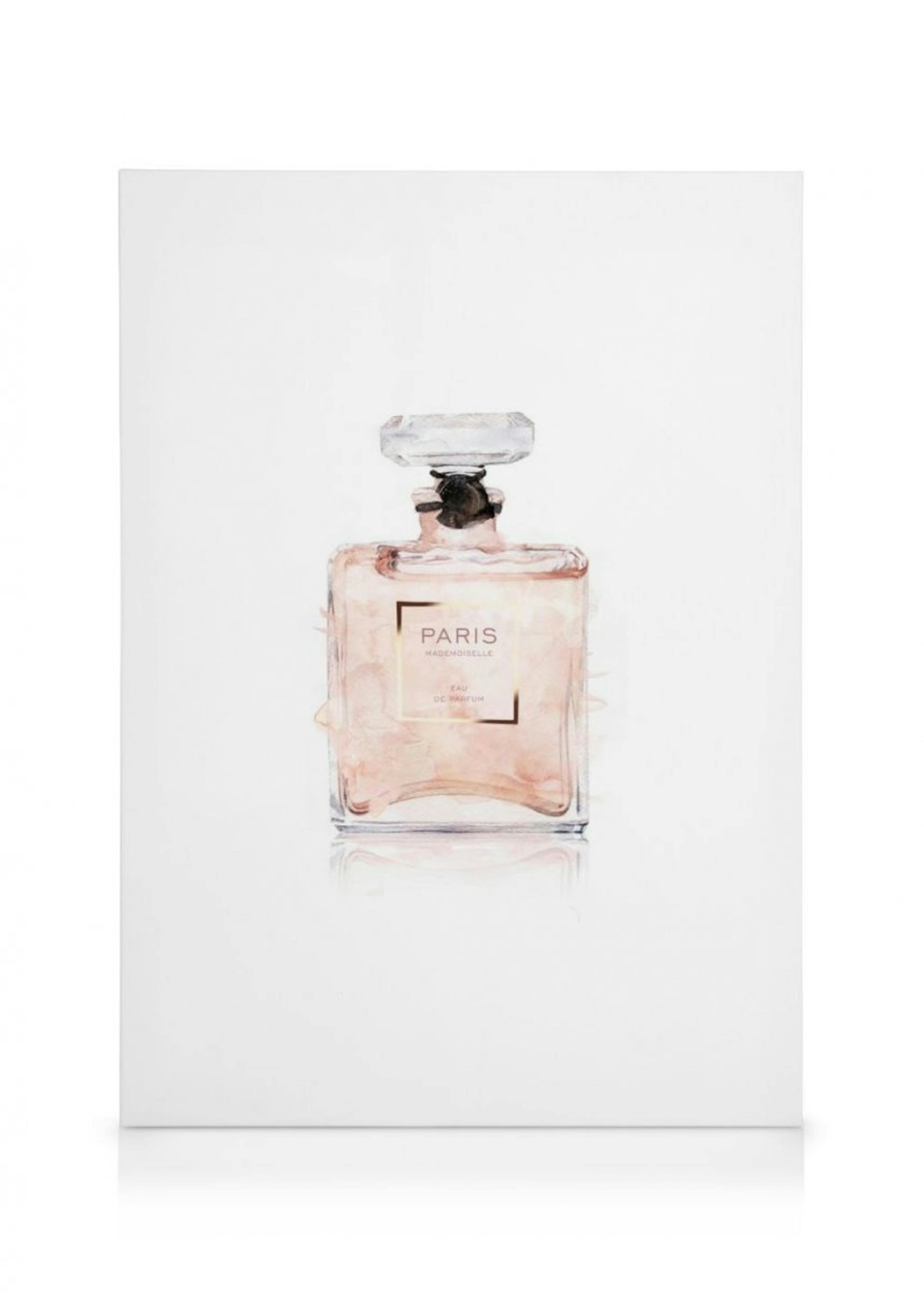 Perfume Canvas Print 0