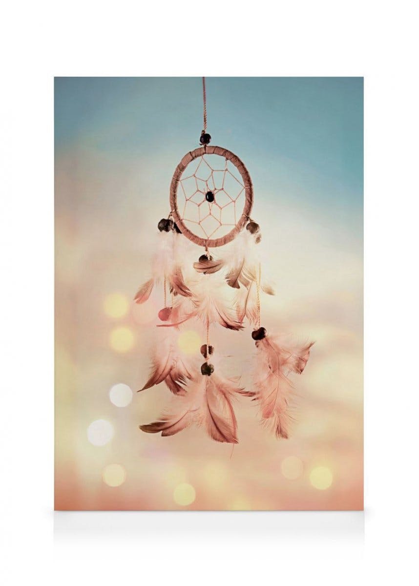 Canvas Prints - Dreamcatcher feathers Canvas print (70x100 cm - Black Frame) - Poster Store