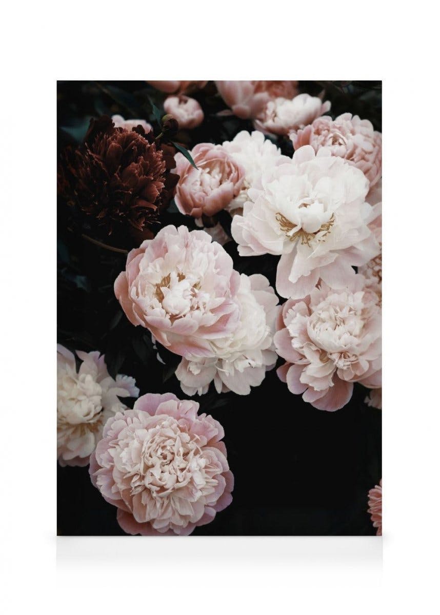 Toile de pivoines printanières (70x100 cm - Cadre noir) - Poster Store