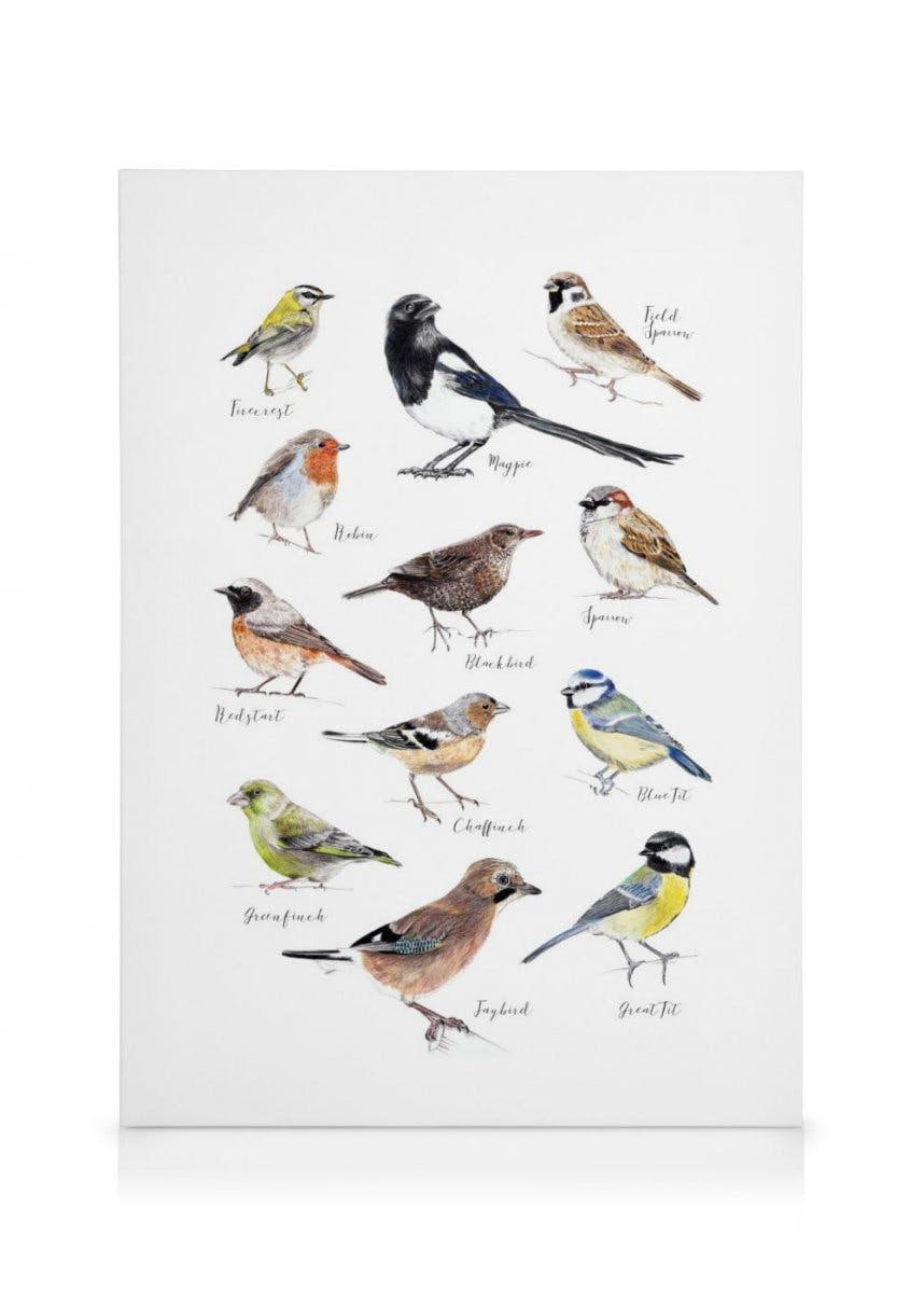 Canvas Prints - Birds Canvas print (70x100 cm - Black Frame) - Poster Store